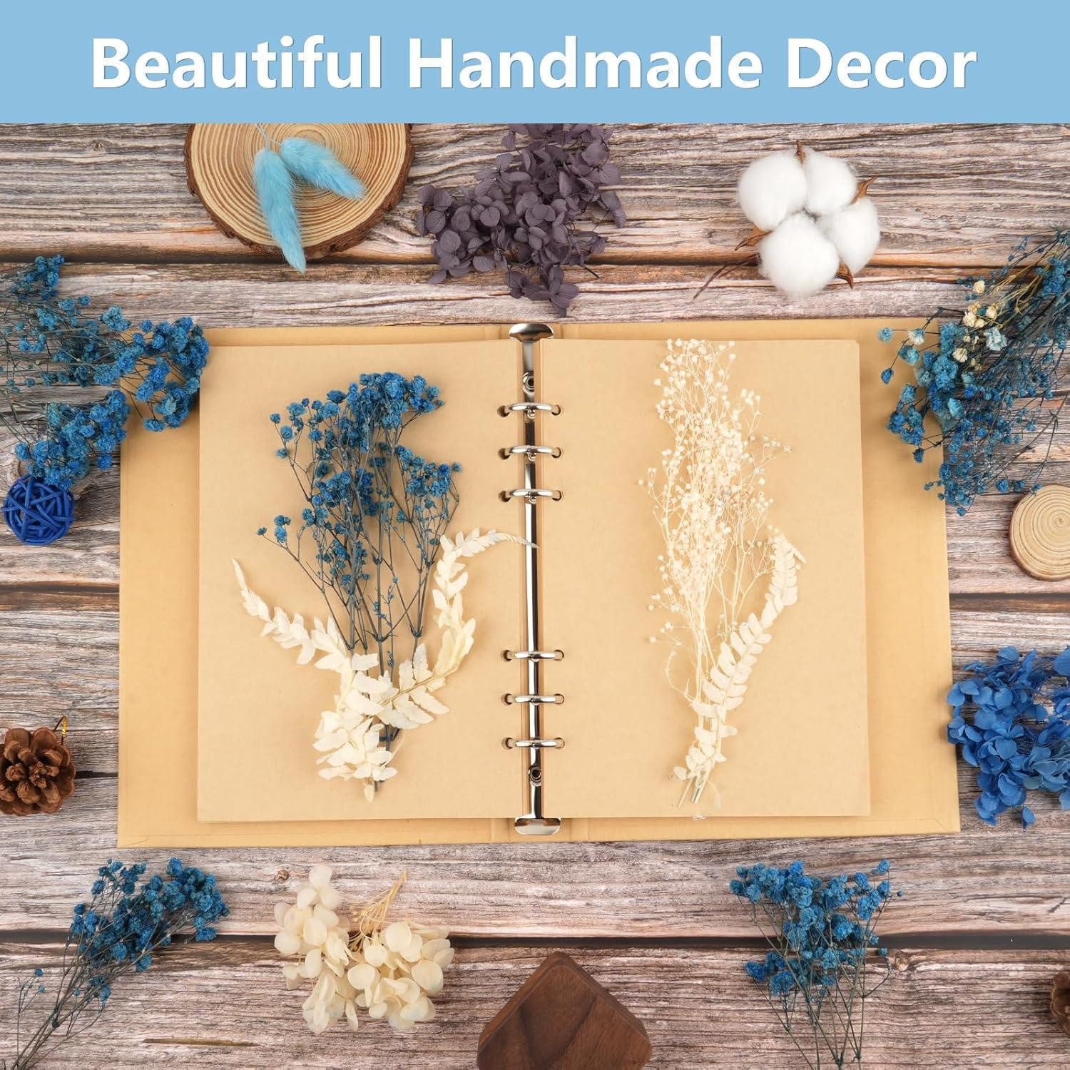 Trockenblume Trockenblumen Gemischt DIY Epoxidharz Scrapbook Blau, LuxusKollektion