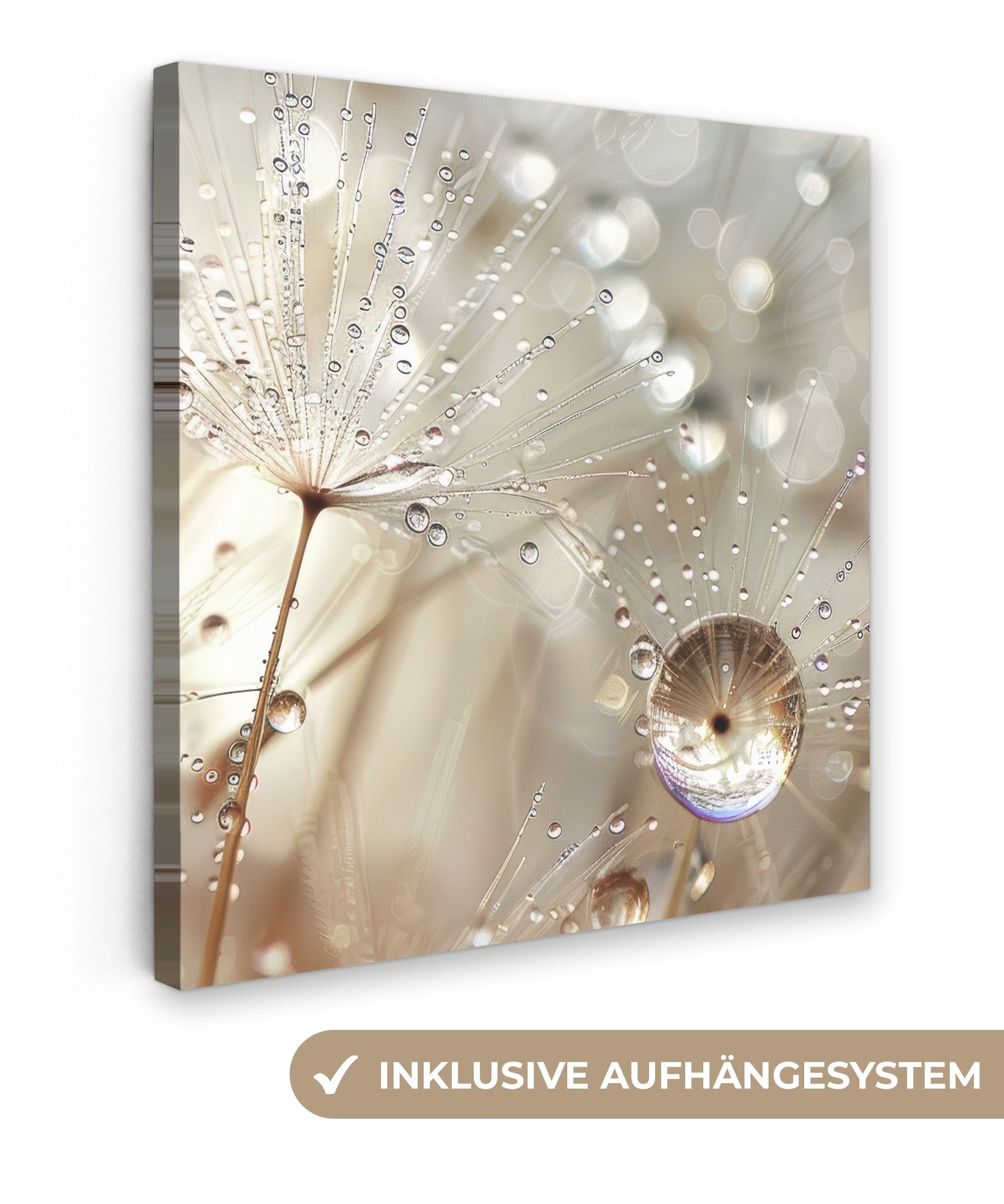 OneMillionCanvasses® Leinwandbild Natur - Blumen - Tropfen - Regen, Fotodru günstig online kaufen