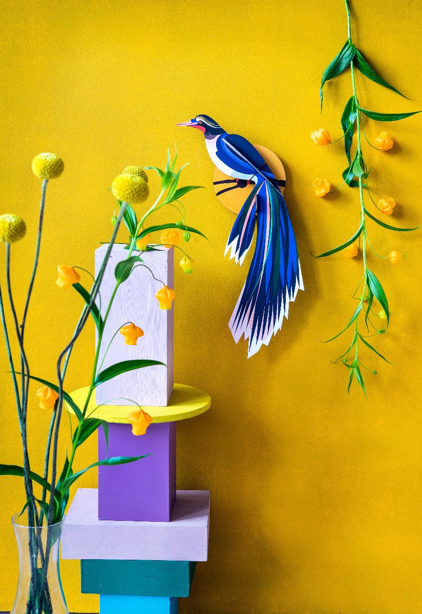 studio ROOF Wanddekoobjekt Wandobjekt 3D Paradiesvogel günstig online kaufen