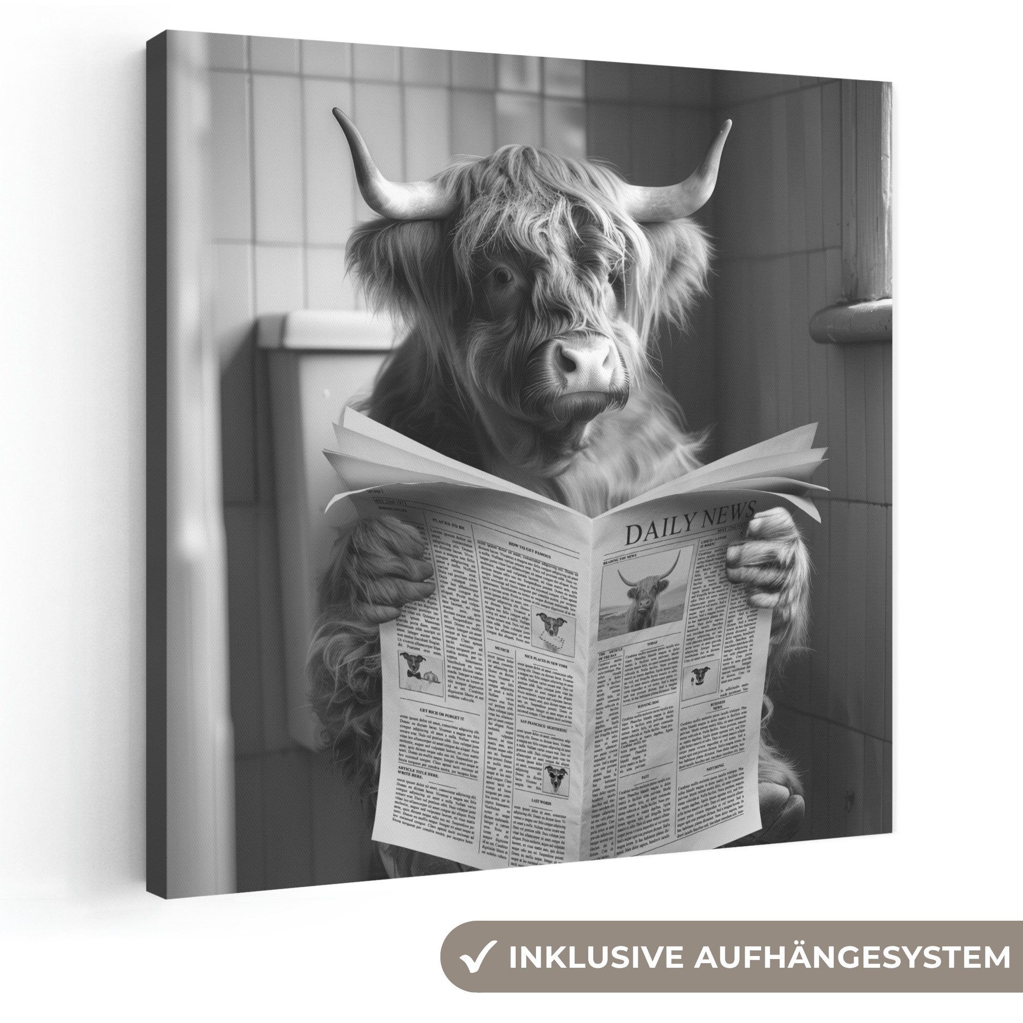 OneMillionCanvasses® Leinwandbild Scottish Highlander - Kuh - Zeitung - WC - Schwarz und weiß, Fotodruck (1 St), Wandbild, Deko Schlafzimmer Wohnzimmer Flur 20x20 cm