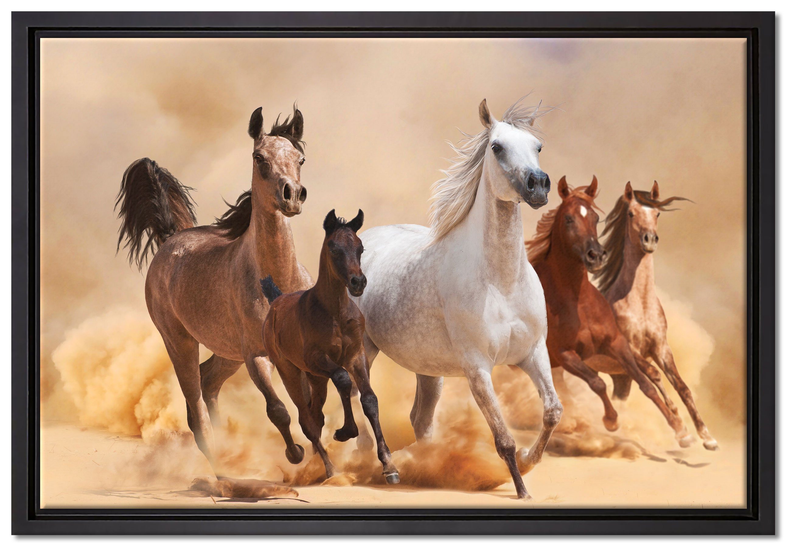 Pixxprint Leinwandbild Western Pferde mit Fohlen, Wanddekoration (1 St), Leinwandbild fertig bespannt, in einem Schattenfugen-Bilderrahmen gefasst, inkl. Zackenaufhänger