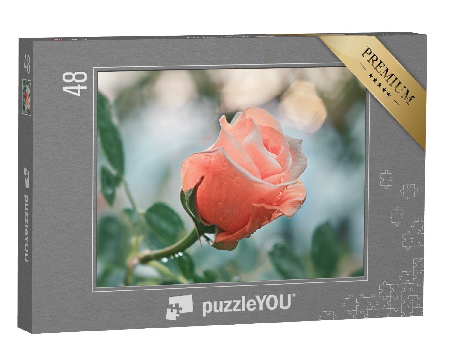 puzzleYOU Puzzle Rosa Blumen: Rose vor unscharfem Hintergrund, 48 Puzzleteile, puzzleYOU-Kollektionen Blüten, Blumen & Pflanzen