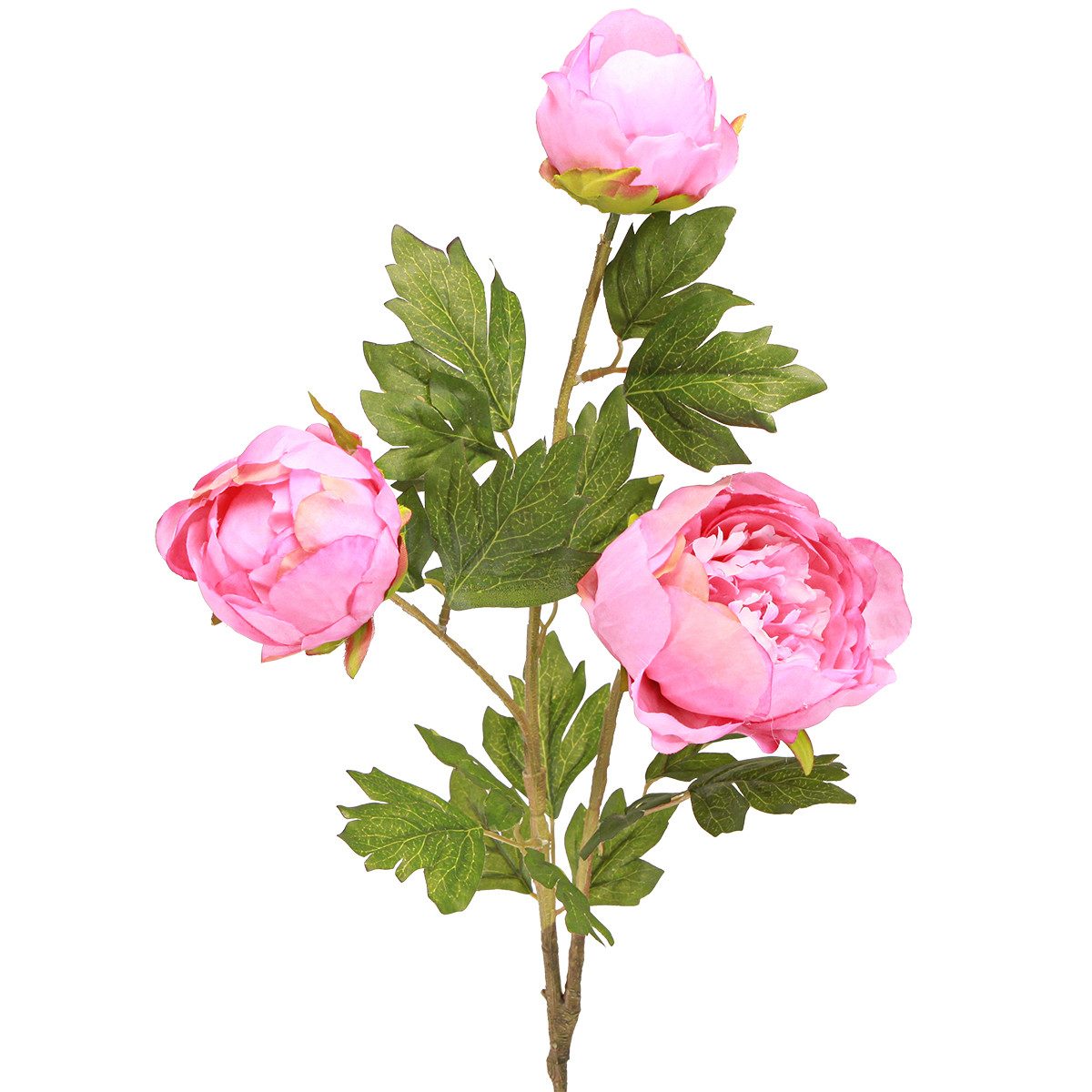 Kunstblume Künstliche Pfingstrosen Rosen Deko Pink 80cm 2St, Florists Products, Höhe 4.5 cm