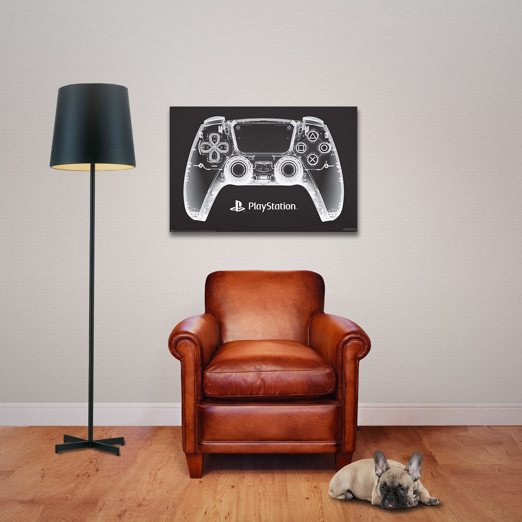 Poster PlayStation - Poster - X-Ray Pad