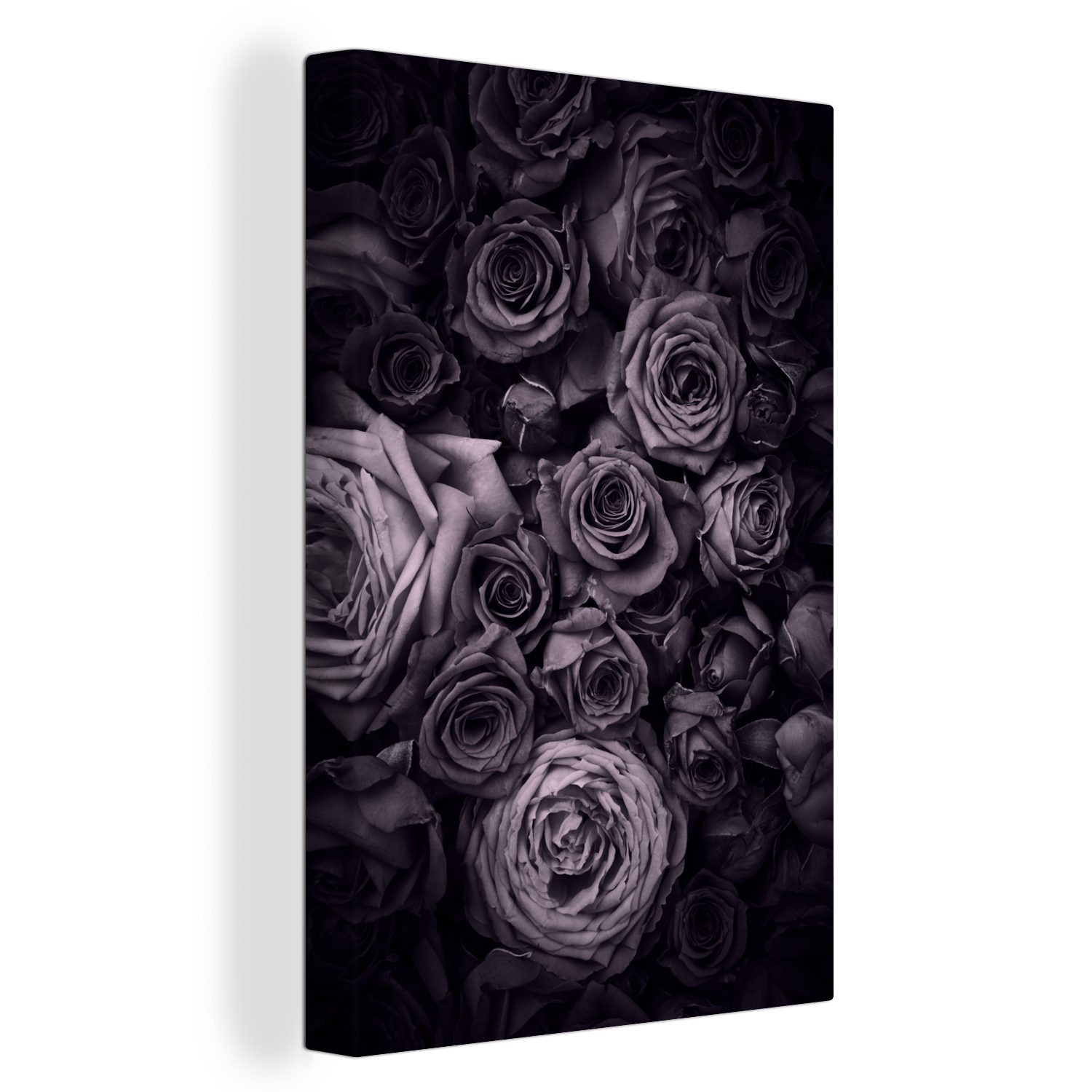 OneMillionCanvasses® Leinwandbild Rosen - Lila - Vintage, (1 St), Leinwandbild fertig bespannt inkl. Zackenaufhänger, Gemälde, 20x30 cm