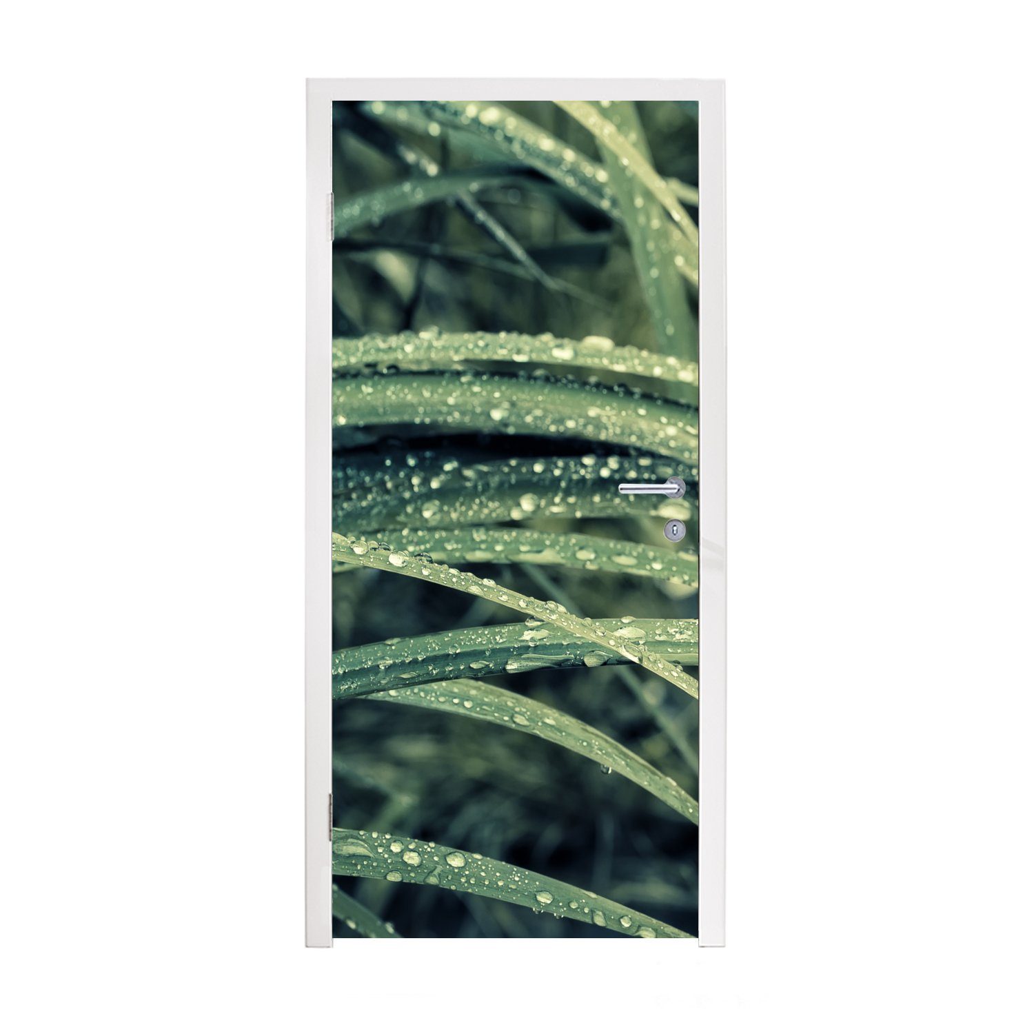 nach für Fototapete Türtapete botanisches Türaufkleber, cm St), Gras bedruckt, Tür, Matt, Regenfällen, MuchoWow (1 Grünes 75x205
