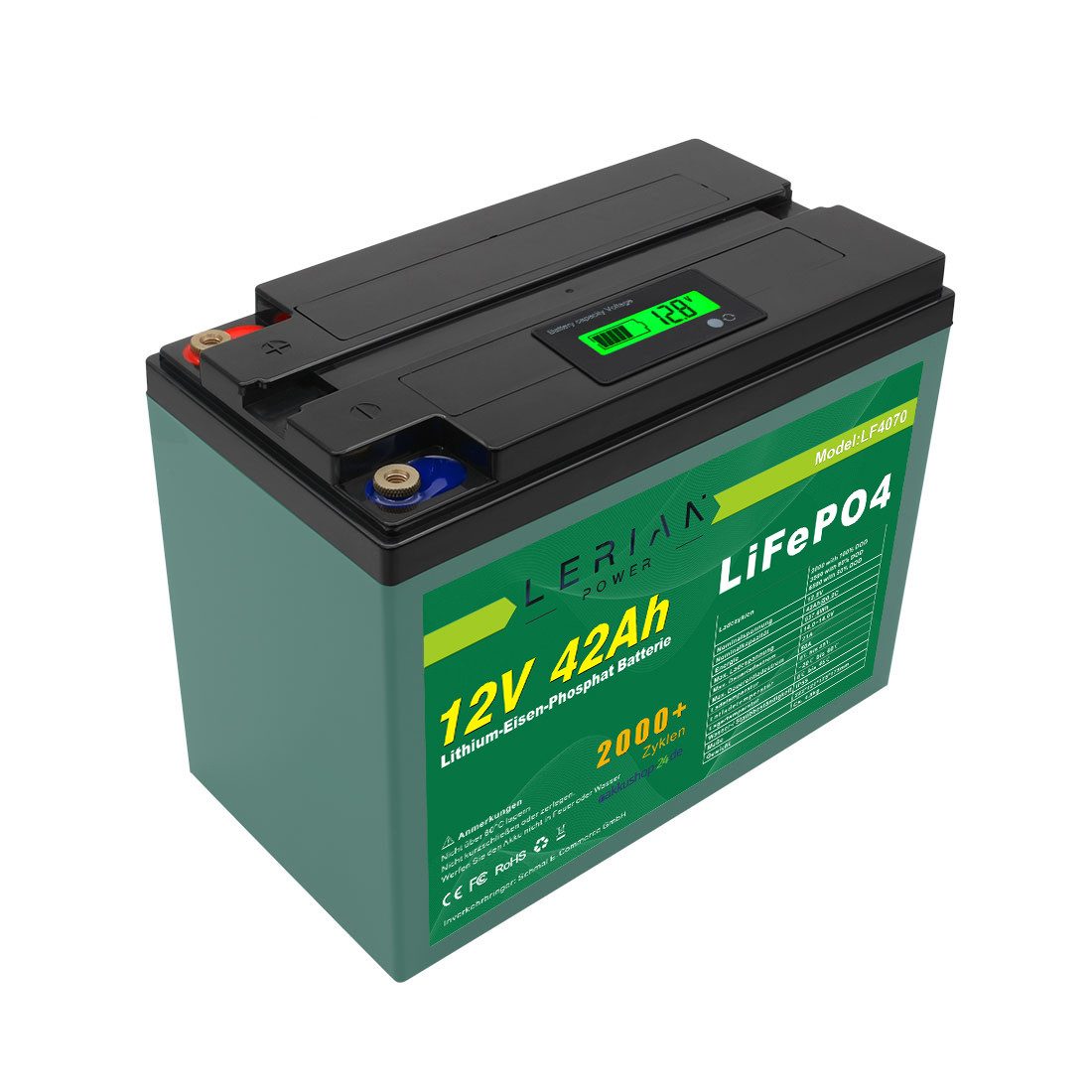 LERIAN POWER LiFePO4 Akku 12V 42Ah LFP Batterie für Camping Boot Solar Akku