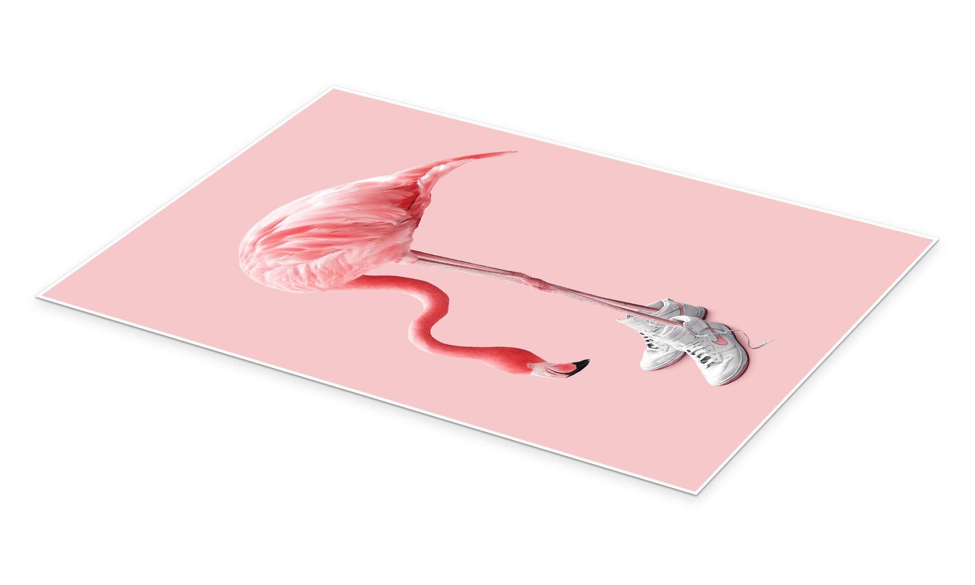 Posterlounge Poster Jonas Loose, Sneaker-Flamingo, Jugendzimmer günstig online kaufen