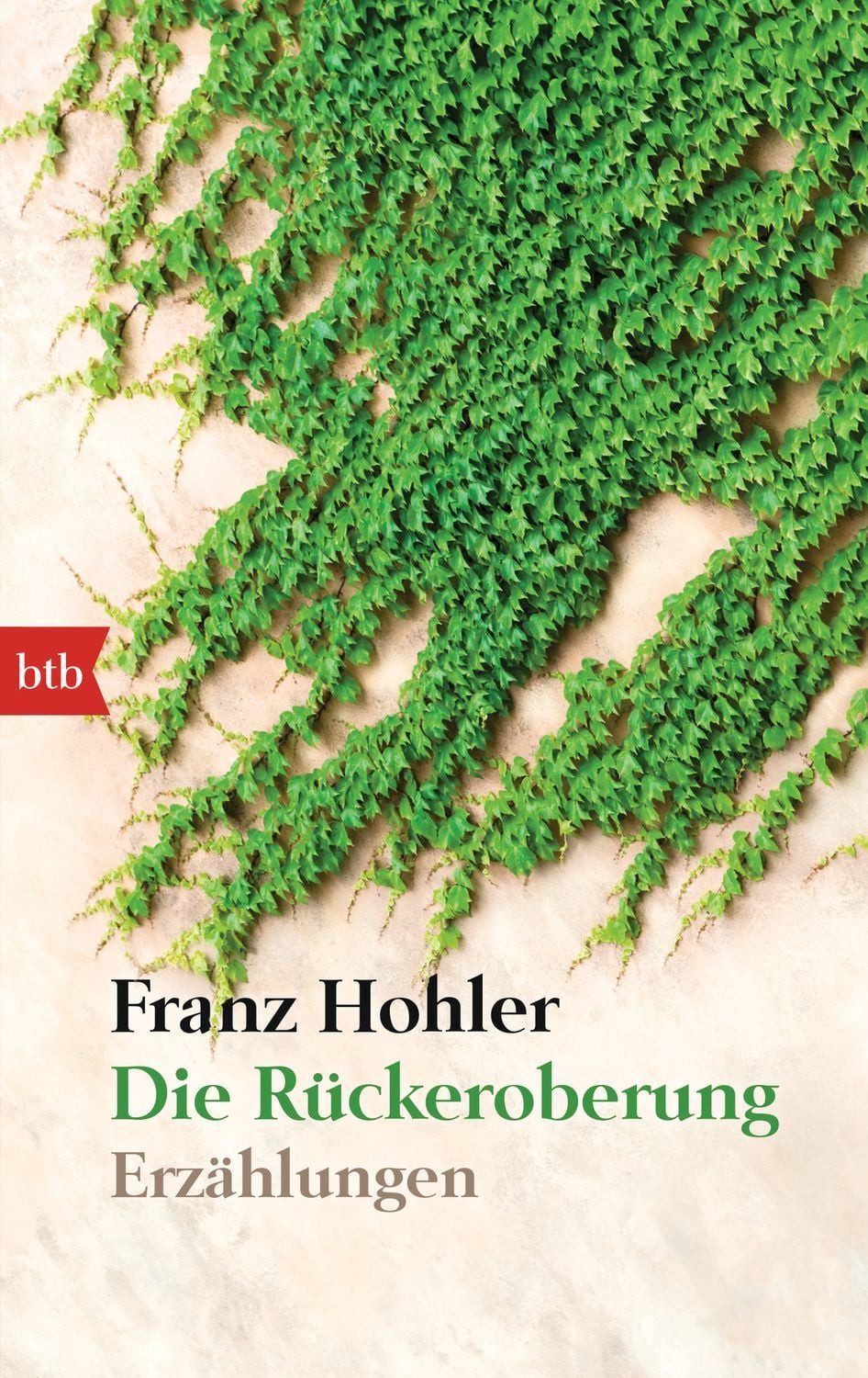 Die Rückeroberung Erzählungen / Franz Hohler, Erzählungen, X