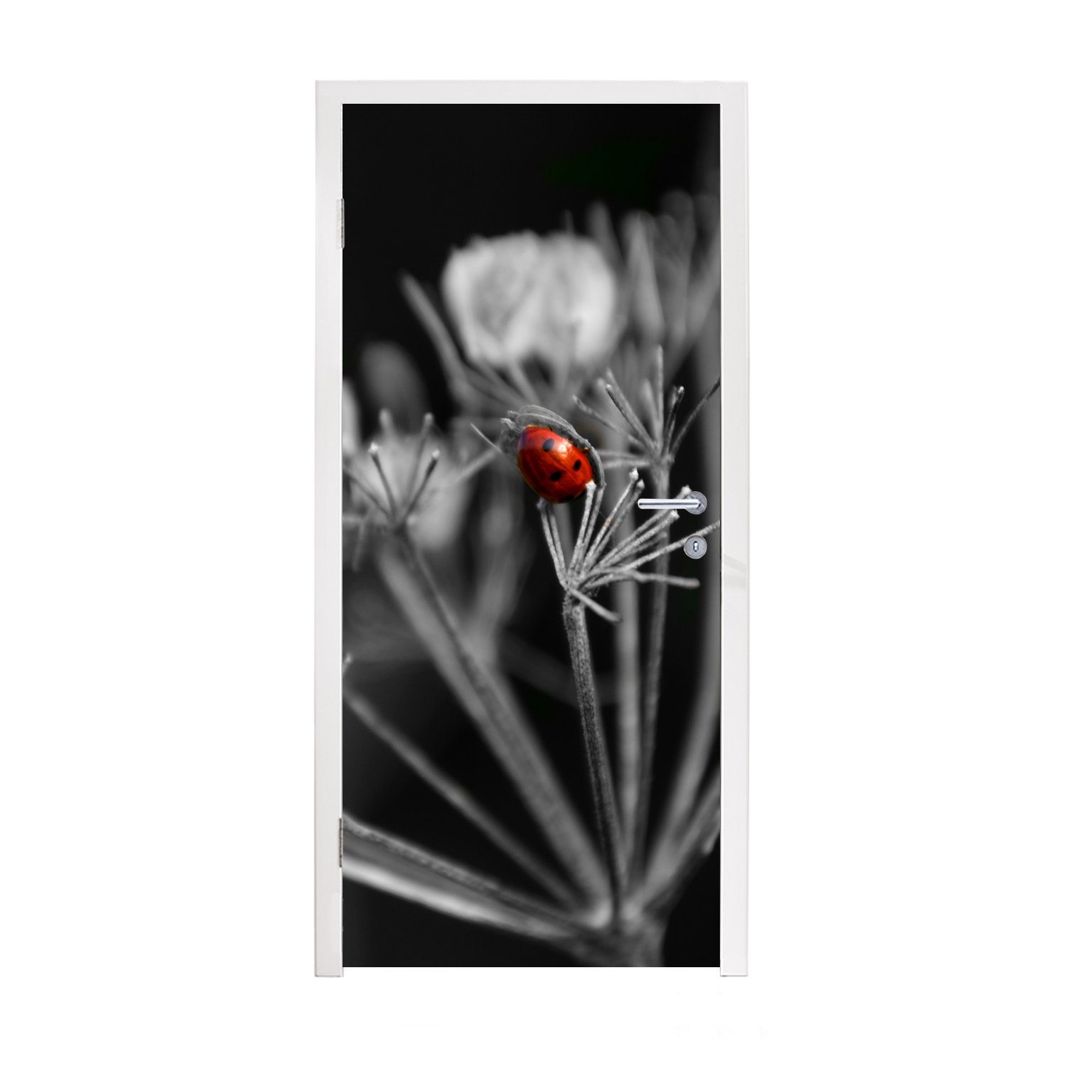 MuchoWow Türtapete Schwarz-Weiß-Foto eines roten Marienkäfers auf einer Pflanze, Matt, bedruckt, (1 St), Fototapete für Tür, Türaufkleber, 75x205 cm