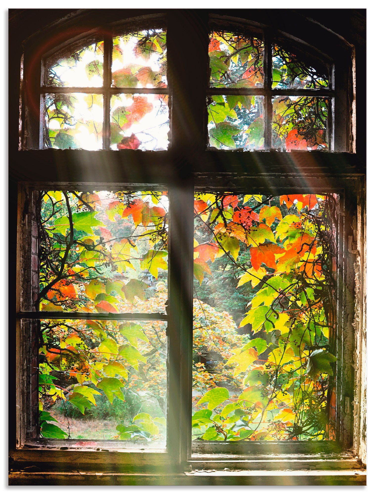 Artland Wandbild Altbau, Fenster & Türen (1 St), als Alubild, Leinwandbild, Poster in verschied. Größen