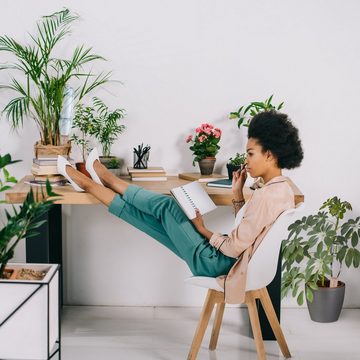 relaxdays Bewässerungssystem Tonkegel zur Bewässerung 4 Stück