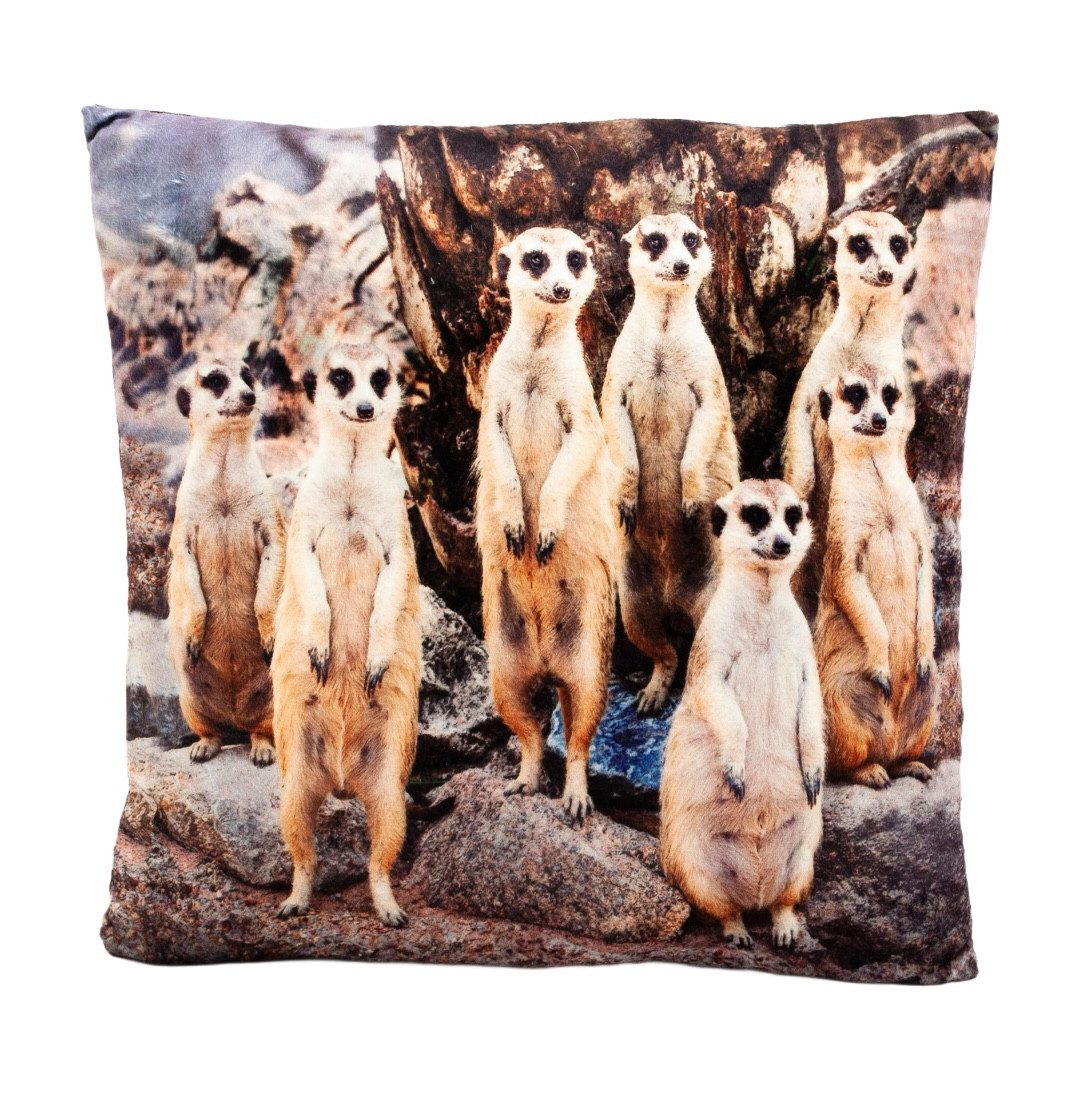 Teddys Rothenburg Kuscheltier Plüschkissen Erdmännchen 35 x 35 cm Foto Tierkissen