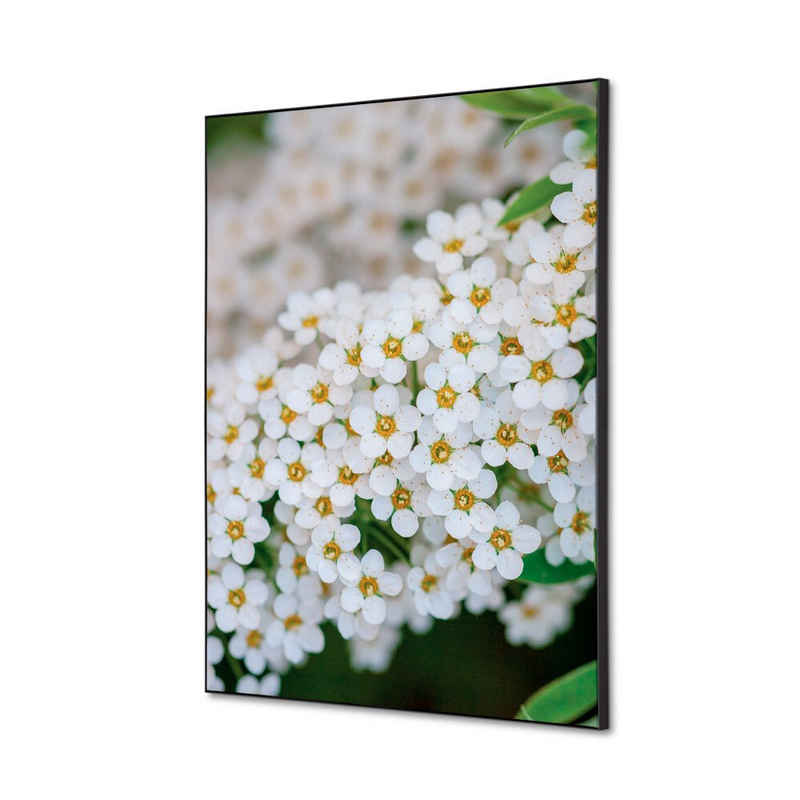 Generic Wandsticker Set DIN A2 - Weiße Blume Spirea - Schwarzer Rahmen (1 St)