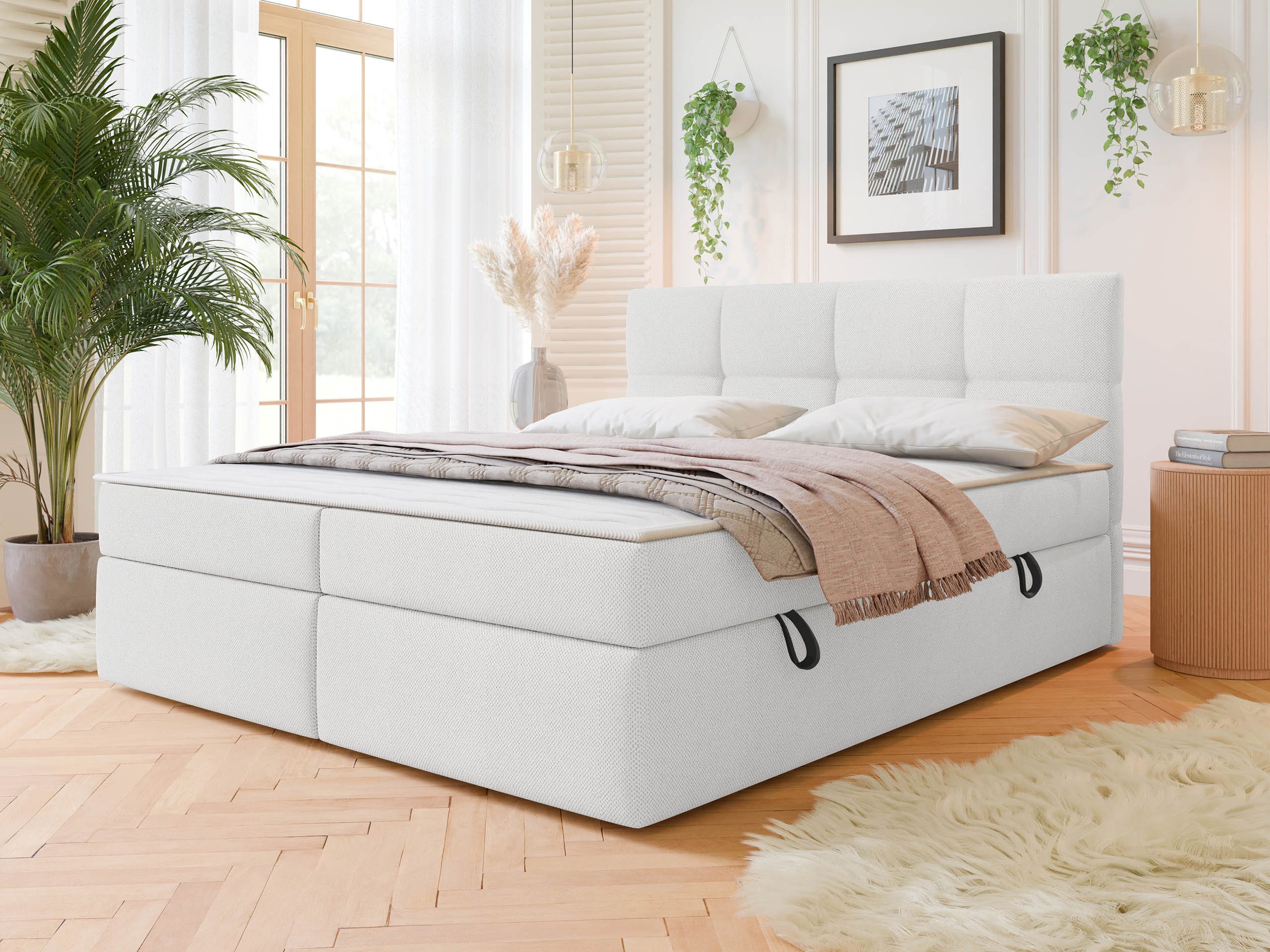 MIRJAN24 Boxspringbett Figaro (mit zwei Bettkästen), günstig online kaufen