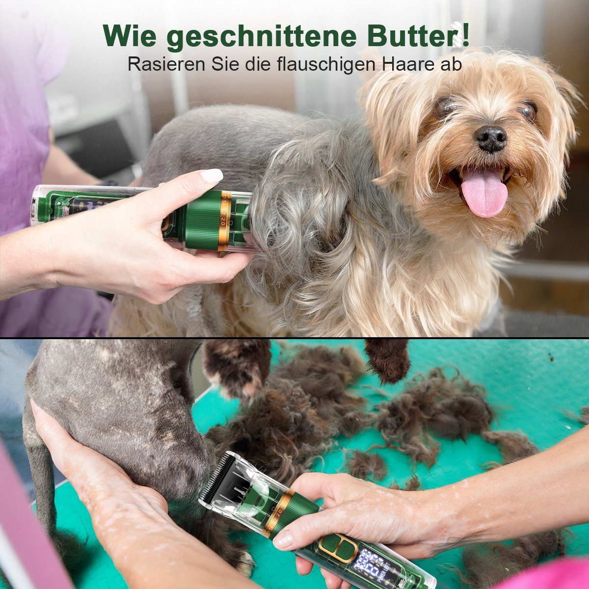 7Magic Hundeschermaschine Profi Schermaschine, Hund Grün 3 Tierhaarschneidemaschine, Leise 1200mAh Hundeschermaschine, mit Katze Hundetrimmer Geschwindigkeiten