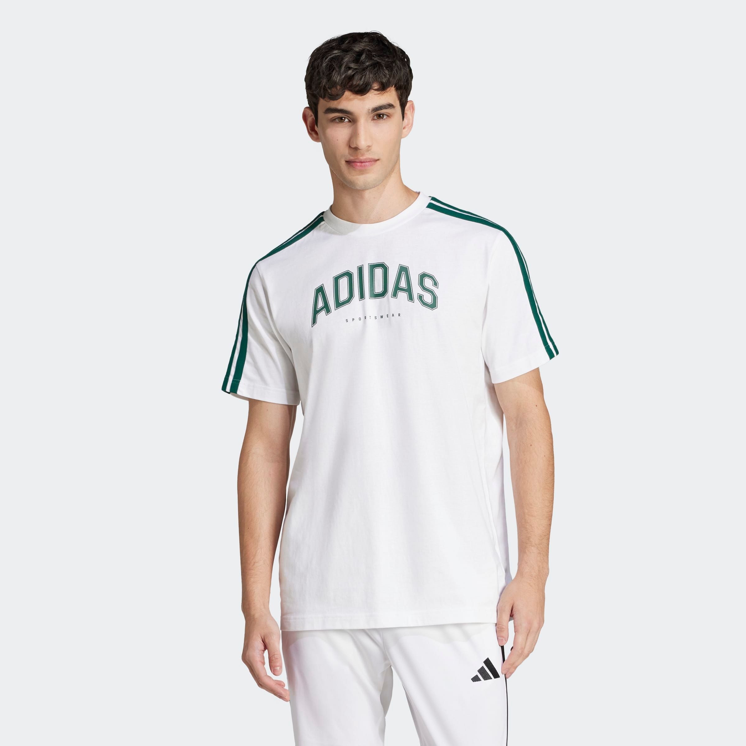 T-Shirt M C COLLEG TEE