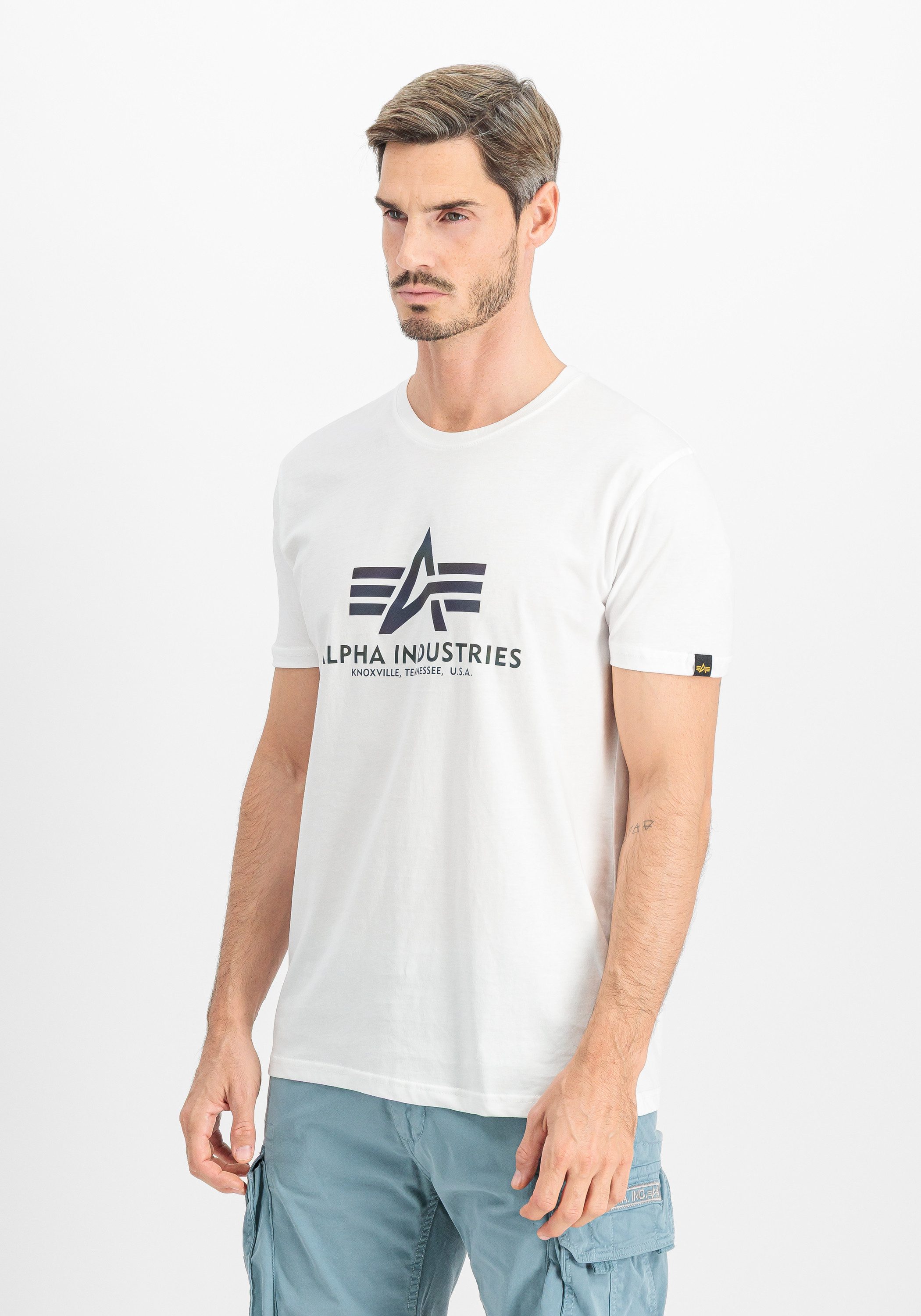 Alpha Industries T-Shirt Basic T-Shirt BL Rainbow Ref.
