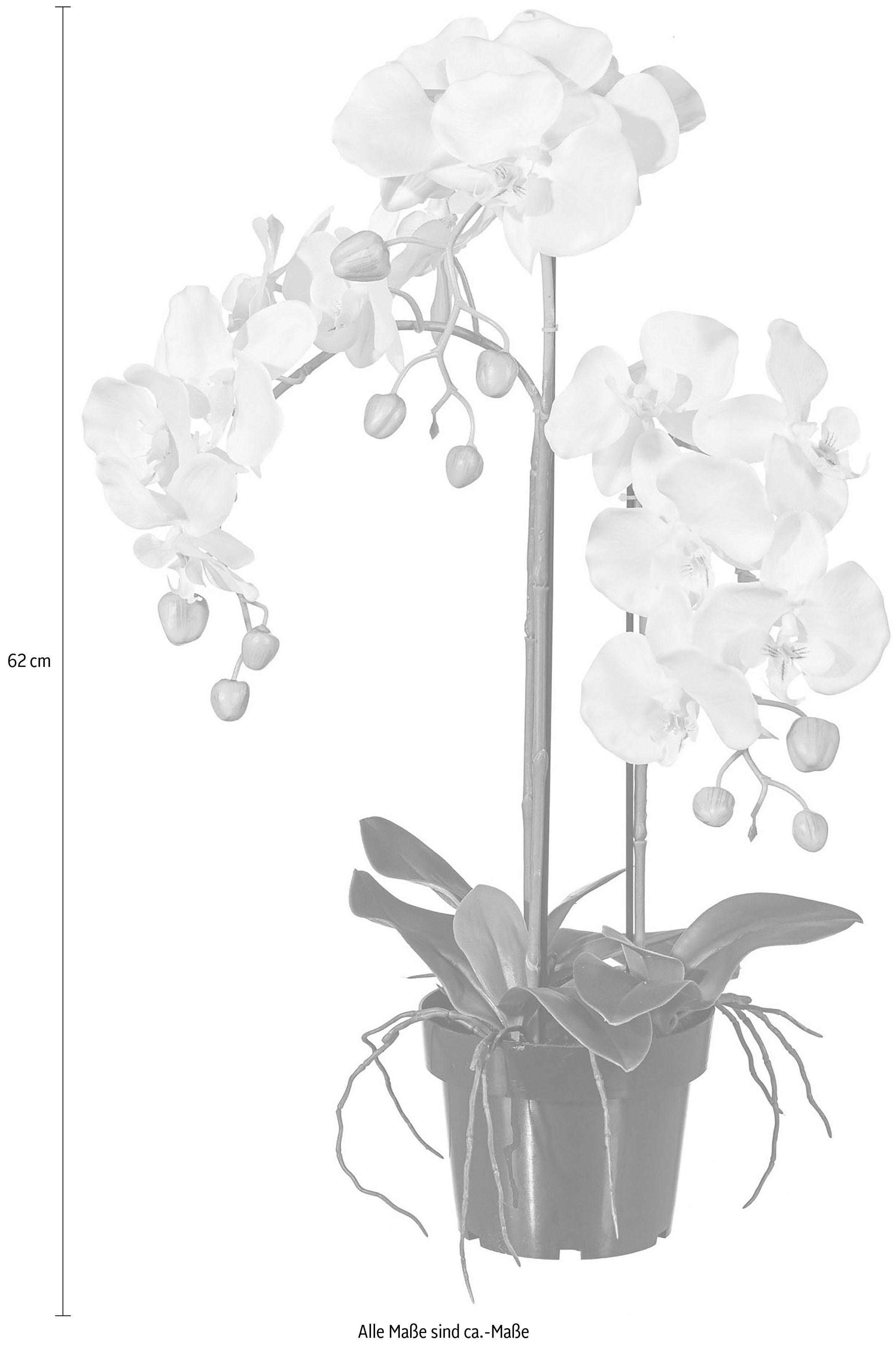 Kunstpflanze Orchidee, Creativ green, Höhe 62 cm günstig online kaufen