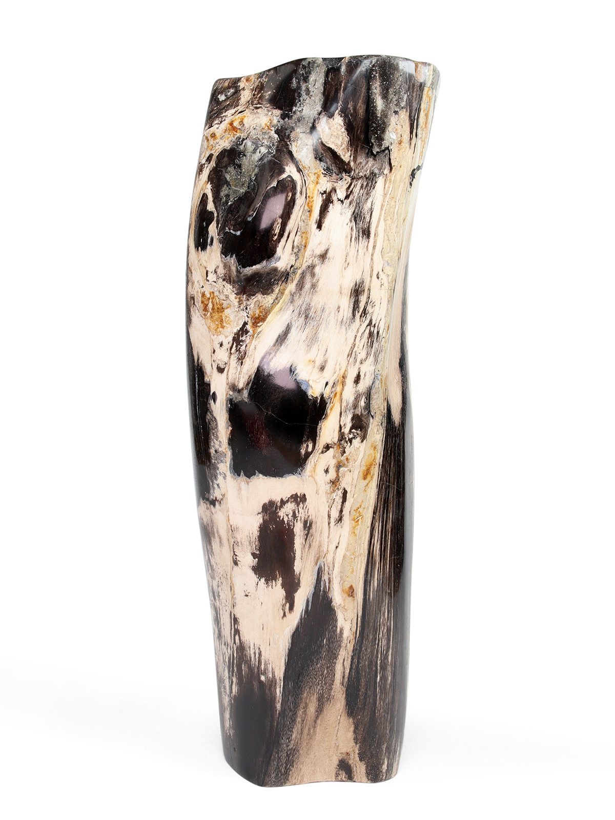 StoneTrip Mineralstein Versteinertes Holz mit gesägter Standfläche, (Unikat, 1-St., Unikat), Versteinertes Holz