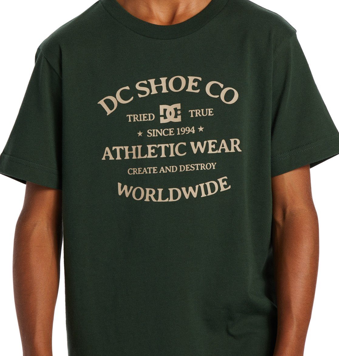DC Shoes Renowed World Sycamore T-Shirt