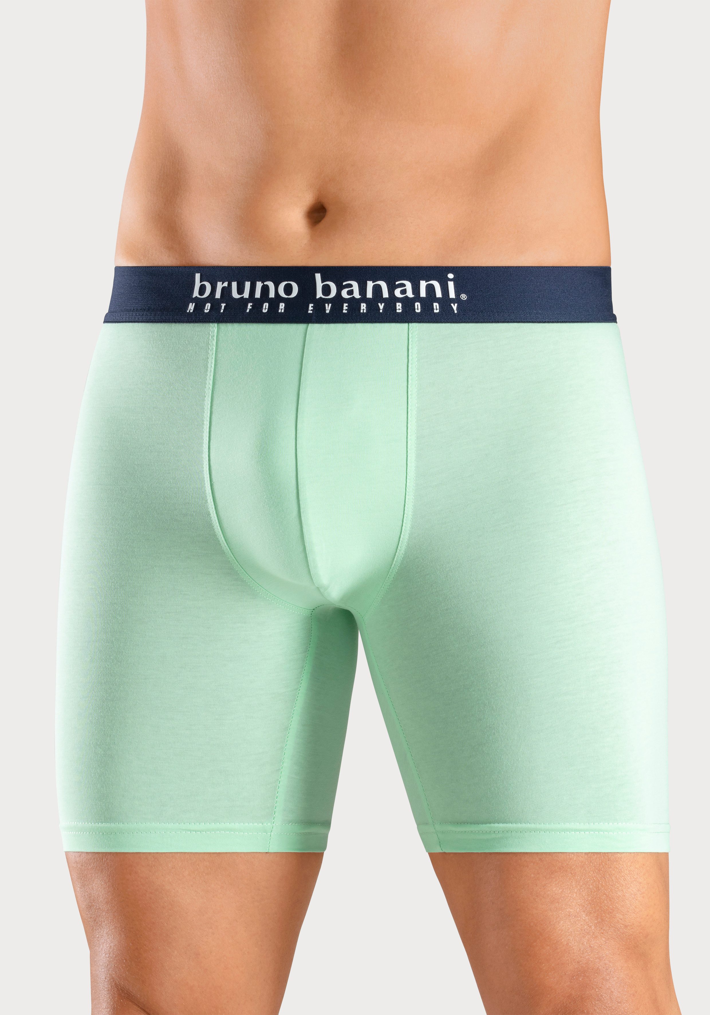 Bruno Banani Langer Boxer (Packung, 4-St., 4er-Pack) Langes Bein, Palmendruck und unifarben aus Baumwollmischung