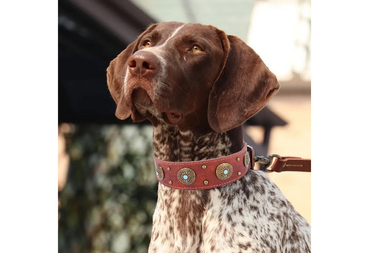 Thumbnail - BYSURE Hunde-Halsband, Vintage Hundehalsband aus Leder