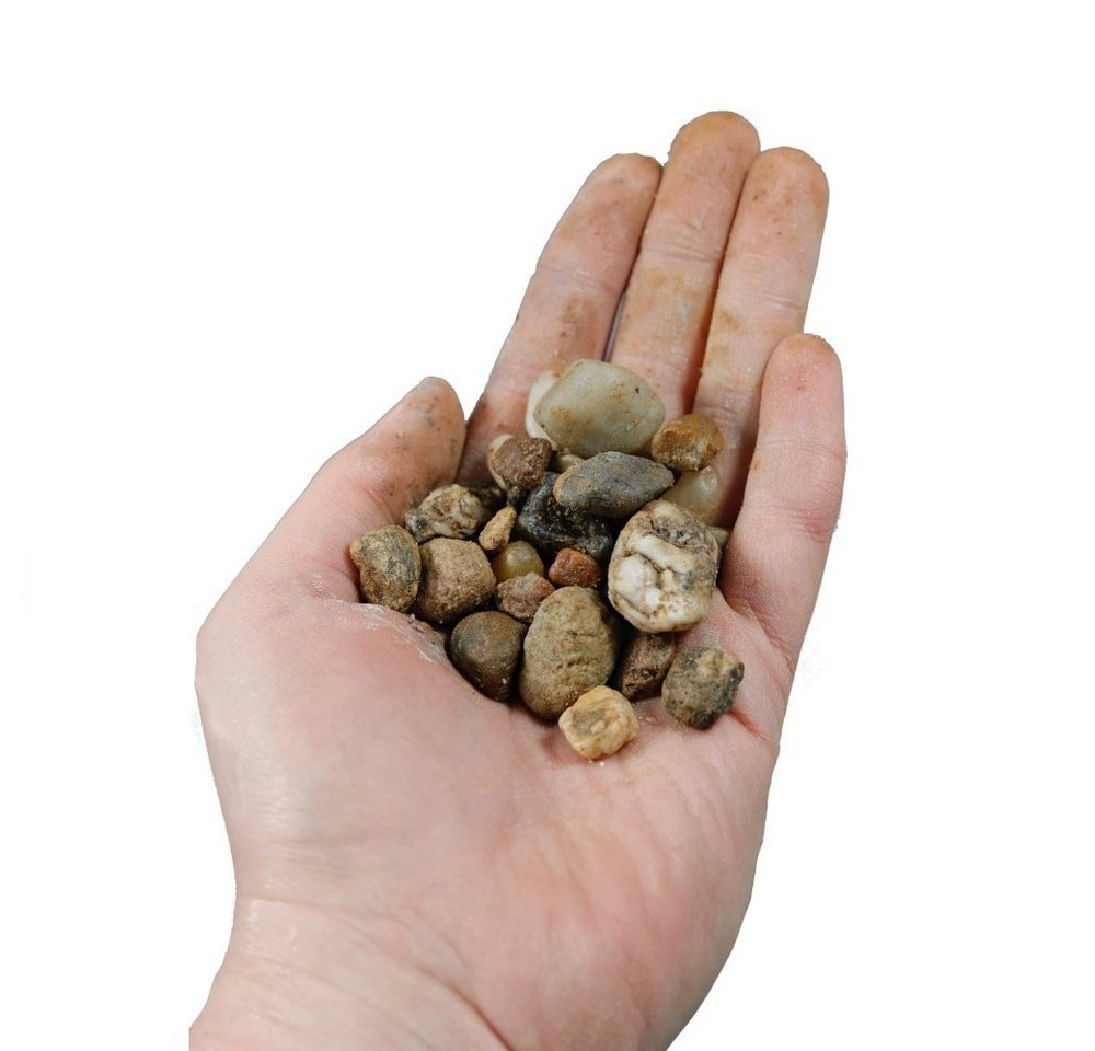 Thumbnail - CM-Gartendesign Zierkies Rhein Kies, (8/16mm, bunt), 25kg