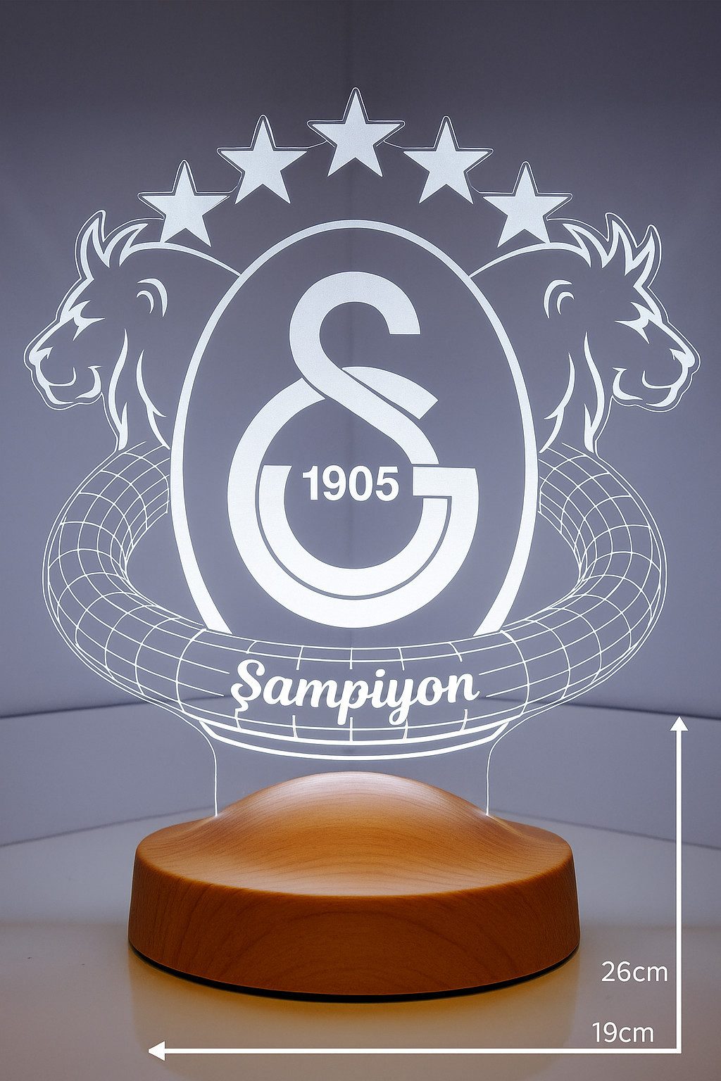 Geschenkelampe LED Nachttischlampe Galatasaray Fanartikel 3D Nachtlicht Geburtstagsgeschenk, Leuchte 7 Farben fest integriert, Geschenk für GS Fans, Jungs – Bild 3 von 5