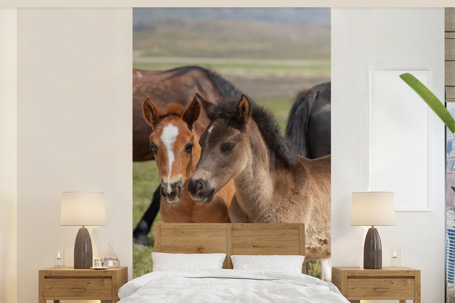 Matt, Schlafzimmer, Fototapete - - Wohnzimmer, Kinderzimmer, Wiese, Vinyl MuchoWow St), für bedruckt, Vlies Wallpaper Pferde - (3 Tapete Tiere