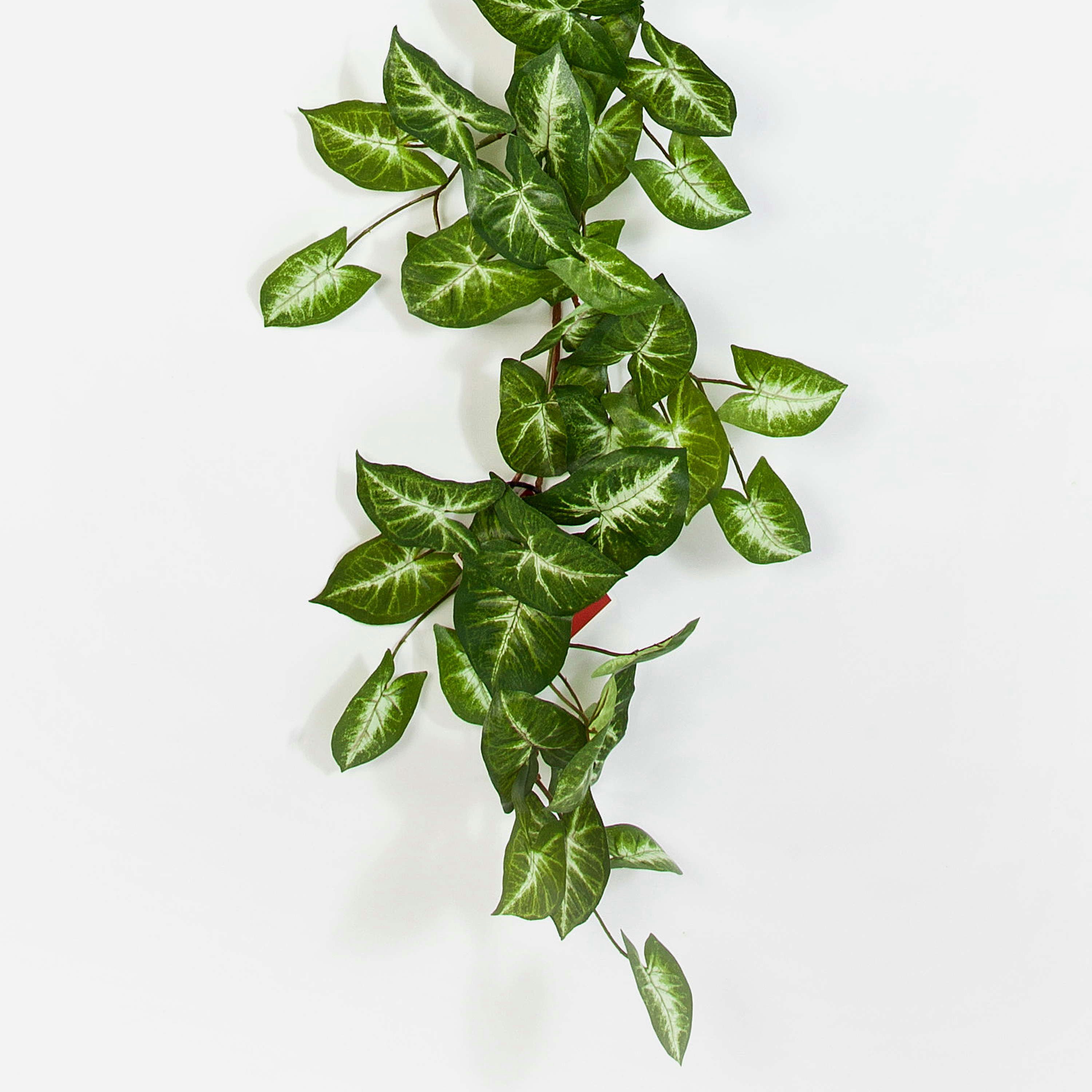 Kunstgirlande Syngonium Girlande künstlich AOLOA, grün-weiß, 180cm Syngonium, artplants, Höhe 180.0 cm