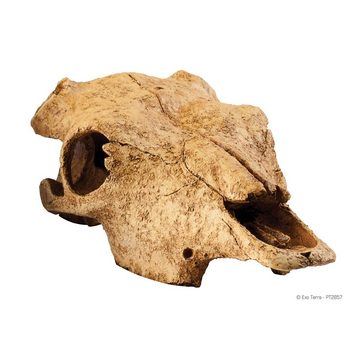 Exo Terra Terrariendeko Versteck Buffalo Skull