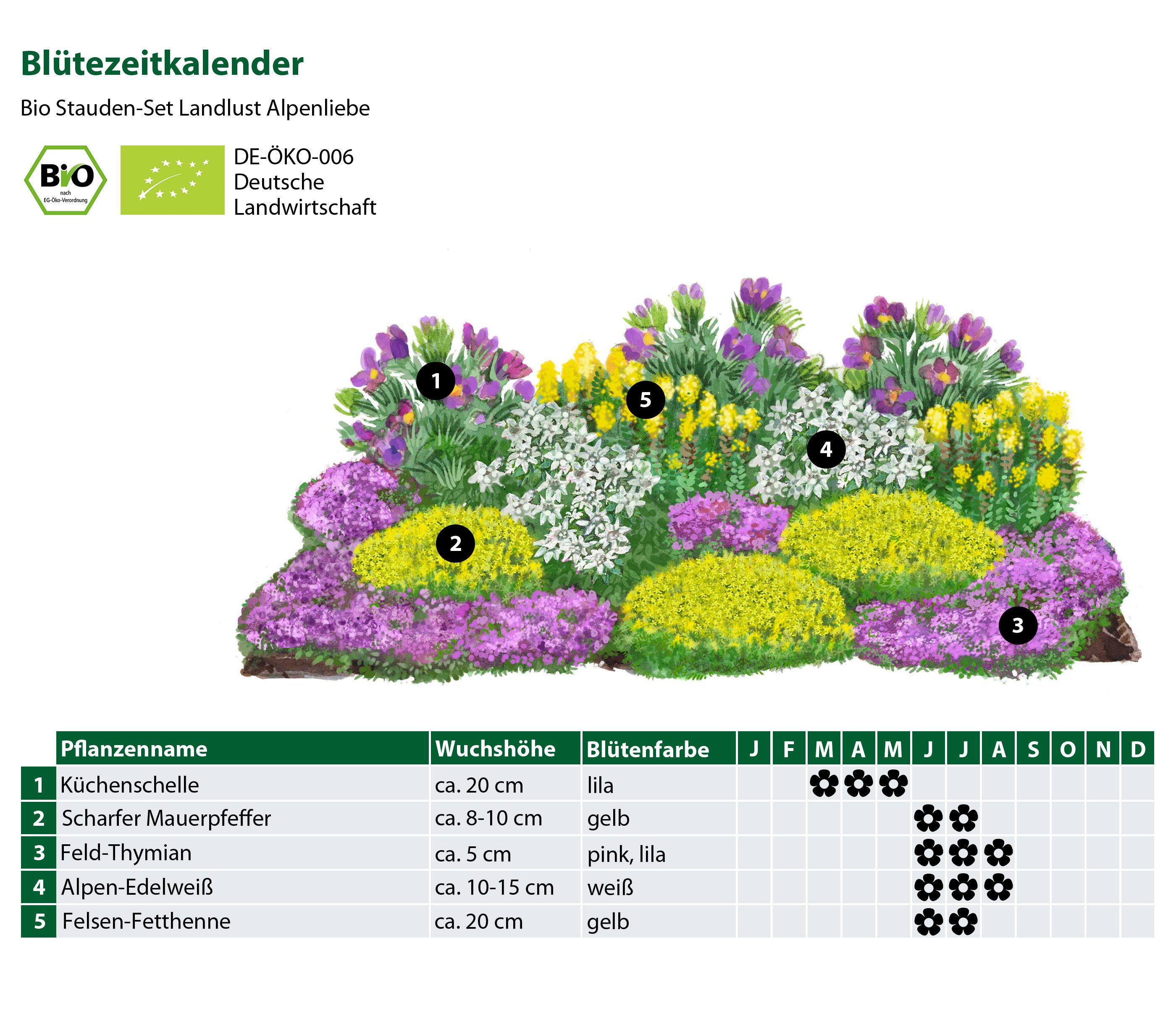 Dehner Staude Bio Stauden-Set Alpenliebe, je 2-15 cm exkl. Pflanztopf, Ø Topf 9 cm, exklusive Landlust Kollektion mit 18 Bio Pflanzen für sonnige Standort