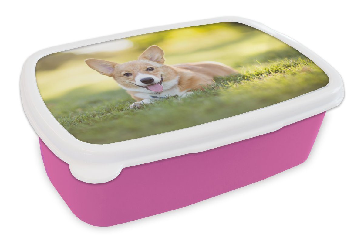 MuchoWow Lunchbox Welsh Corgi Welpe, Kunststoff, (2-tlg), Brotbox für Erwachsene, Brotdose Kinder, Snackbox, Mädchen, Kunststoff rosa