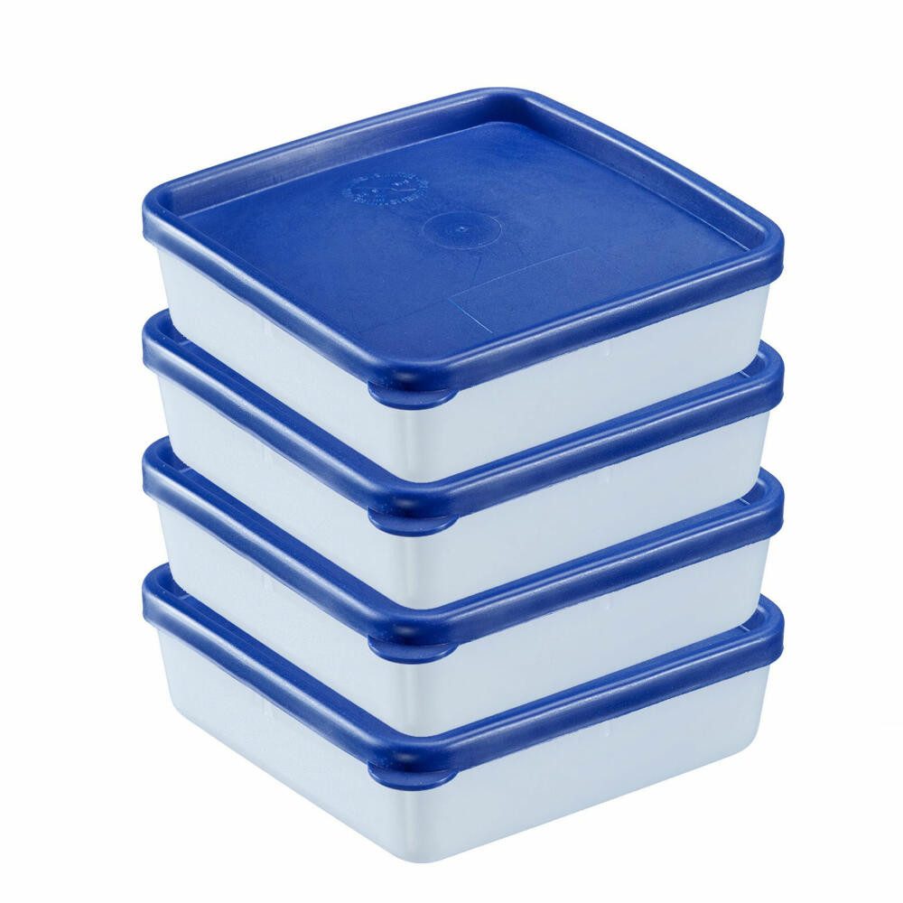WESTMARK Frischhaltedose, Kunststoff, (Gefrierdosen-Set)