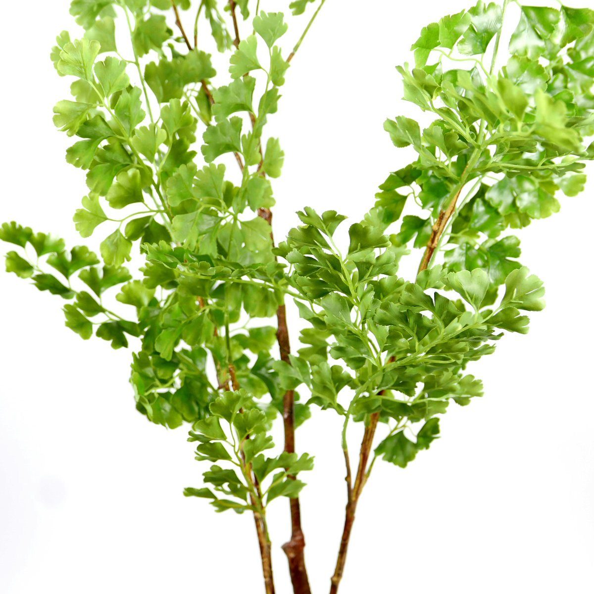 Kunstpflanze, SB Zentralmarkt. € 44,93