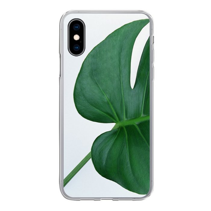 MuchoWow Handyhülle Botanische Lochpflanze auf einem hellgrauen Hintergrund Handyhülle Apple iPhone X/10 Smartphone-Bumper Print Handy