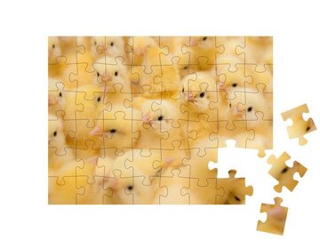 puzzleYOU Puzzle Neugeborene Küken, 48 Puzzleteile, puzzleYOU-Kollektionen Hühner & Küken