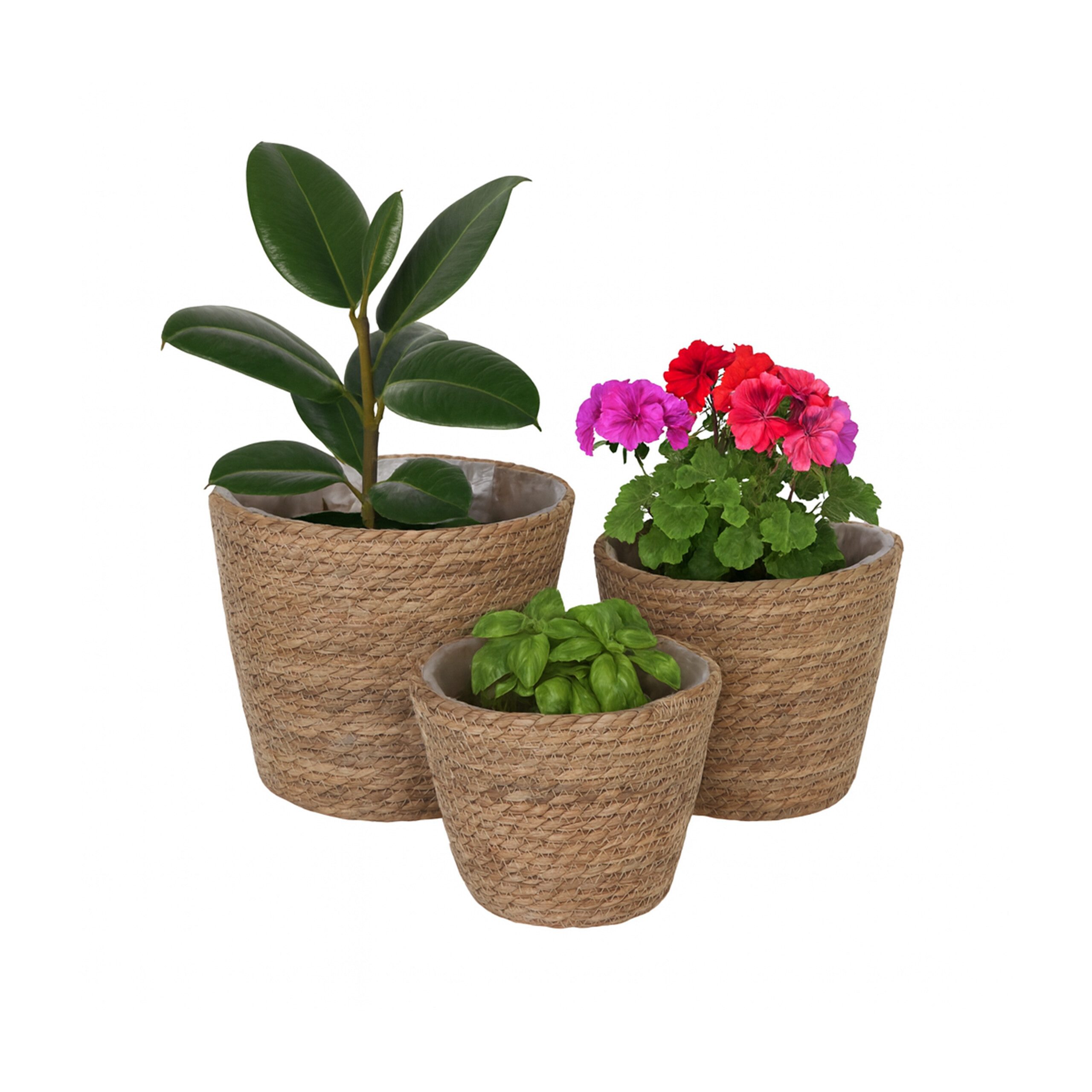relaxdays Blumentopf Runder Blumentopf im 3er Set, natur günstig online kaufen
