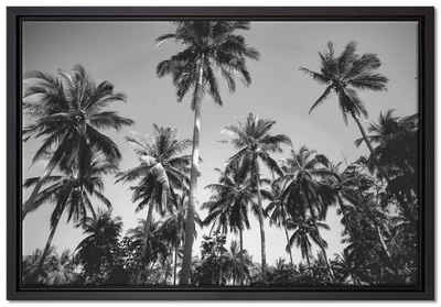 Pixxprint Leinwandbild Tropische Palmen Kunst B&W, Wanddekoration (1 St), Leinwandbild fertig bespannt, in einem Schattenfugen-Bilderrahmen gefasst, inkl. Zackenaufhänger