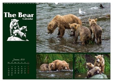 CALVENDO Wandkalender The Bear Calendar / UK-Version (Premium-Calendar 2023 DIN A2 Landscape)