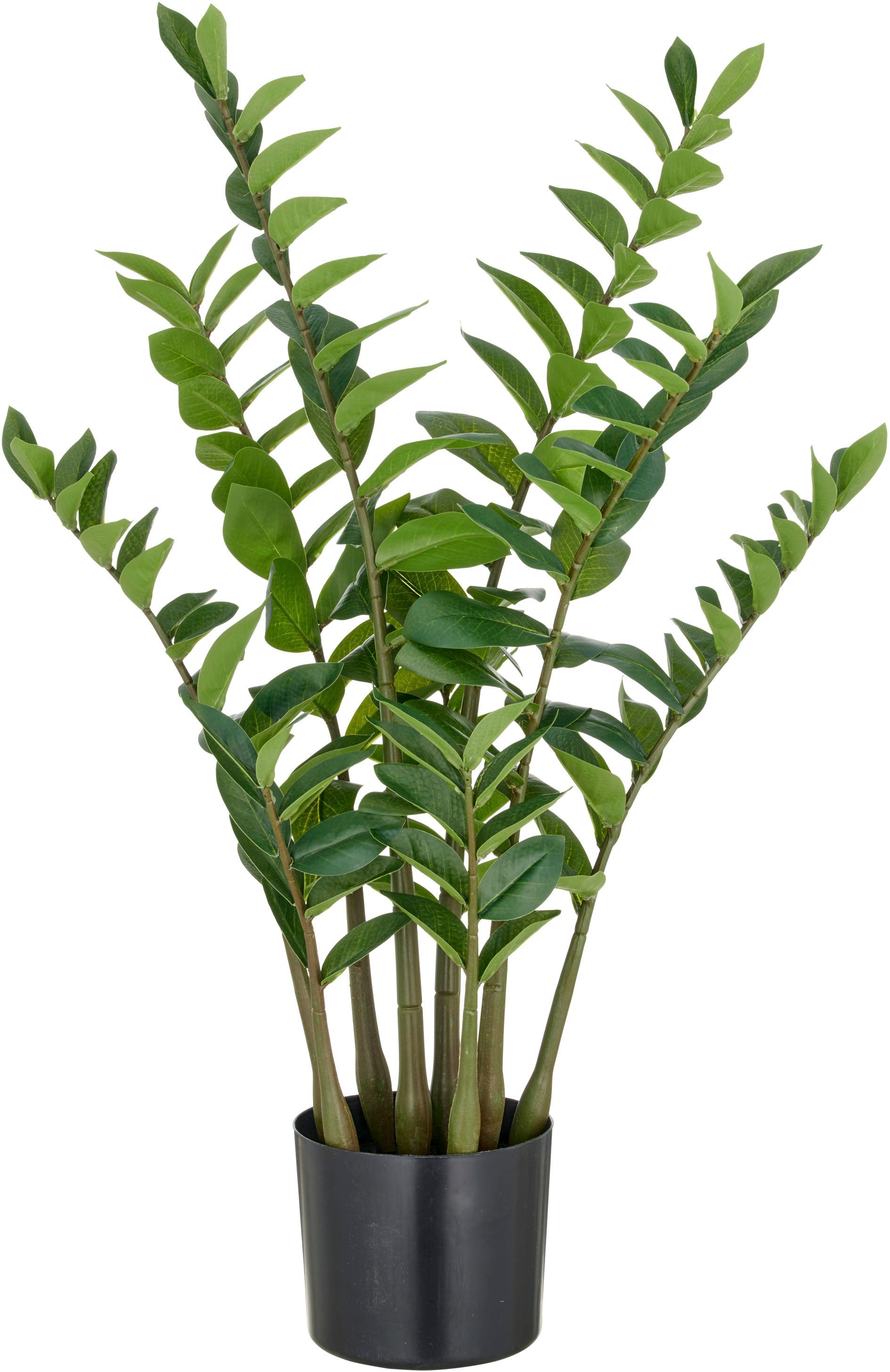 Kunstpflanze Zamifolia, Creativ green, Höhe 90 günstig online kaufen