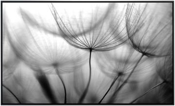 Papermoon Infrarotheizung Blumen Schwarz & Weiß, sehr angenehme Strahlungswärme