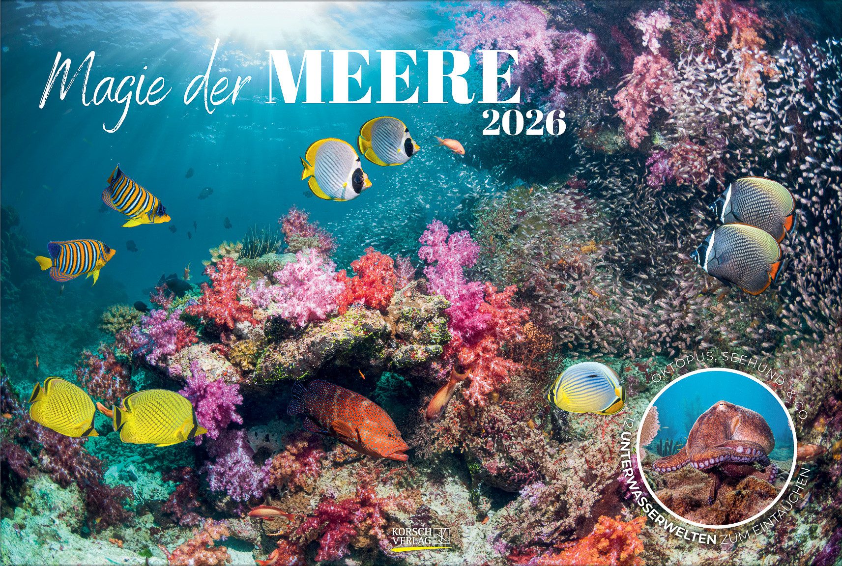 Korsch Verlag Tierkalender Korsch Календари Magie der Meere 2026