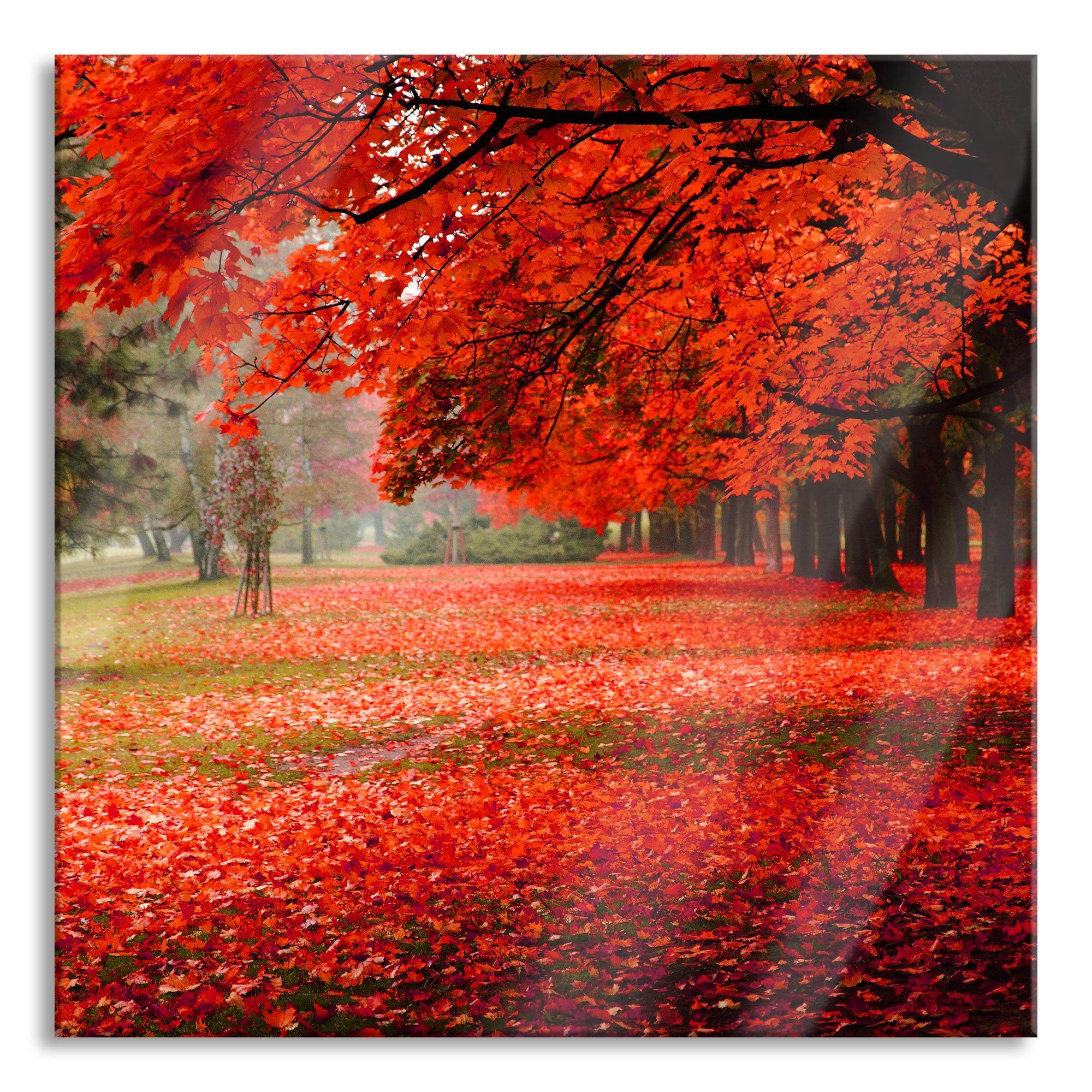 Pixxprint Glasbild Rot Echtglas, und Herbst Rot gefärbter Park St), im Park inkl. Herbst, (1 Abstandshalter gefärbter aus Aufhängungen im Glasbild