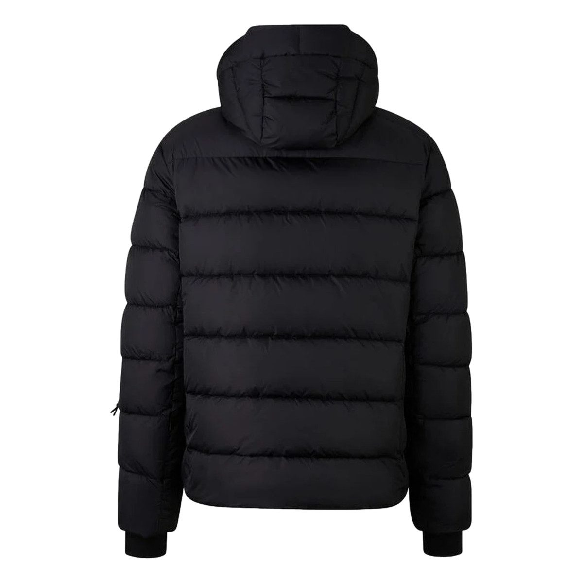 Bogner Fire + Ice Steppjacke BOGNER Fire + Ice Luka 2 - Herren Steppjacke