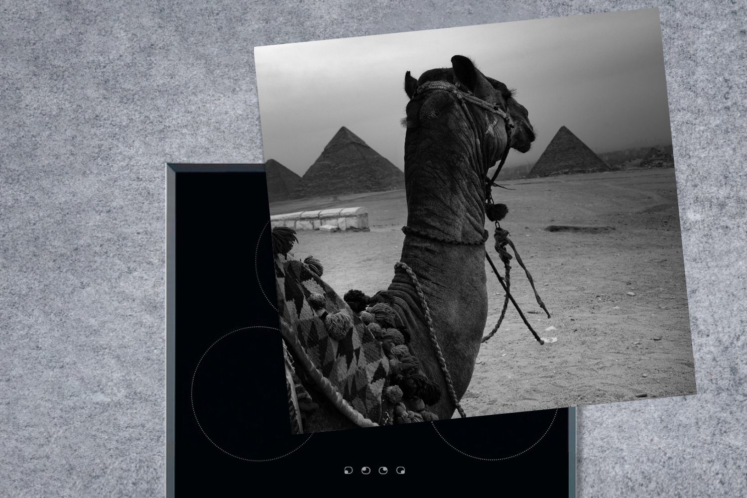 78x78 - tlg), Herdblende-/Abdeckplatte Ceranfeldabdeckung, (1 küche MuchoWow für - Vinyl, Arbeitsplatte - cm, Ägypten Weiß, Schwarz Kamel