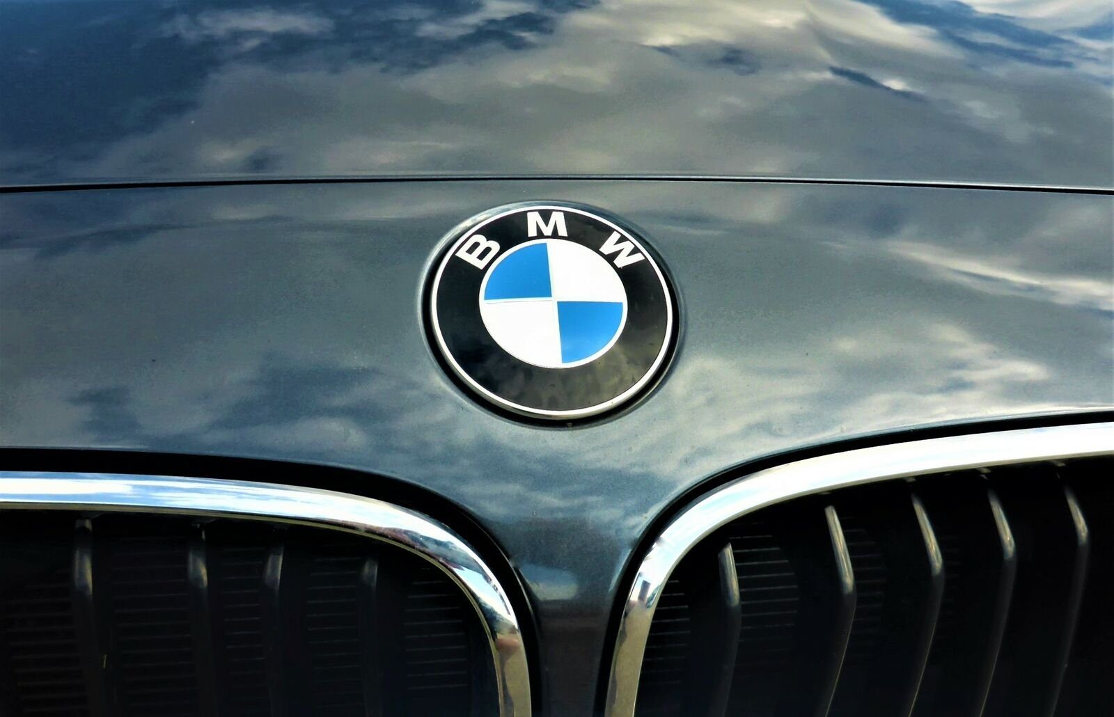 BMW Aufkleber Original BMW Emblem Logo für die Motorhaube incl. Tüllen, (1tlg)