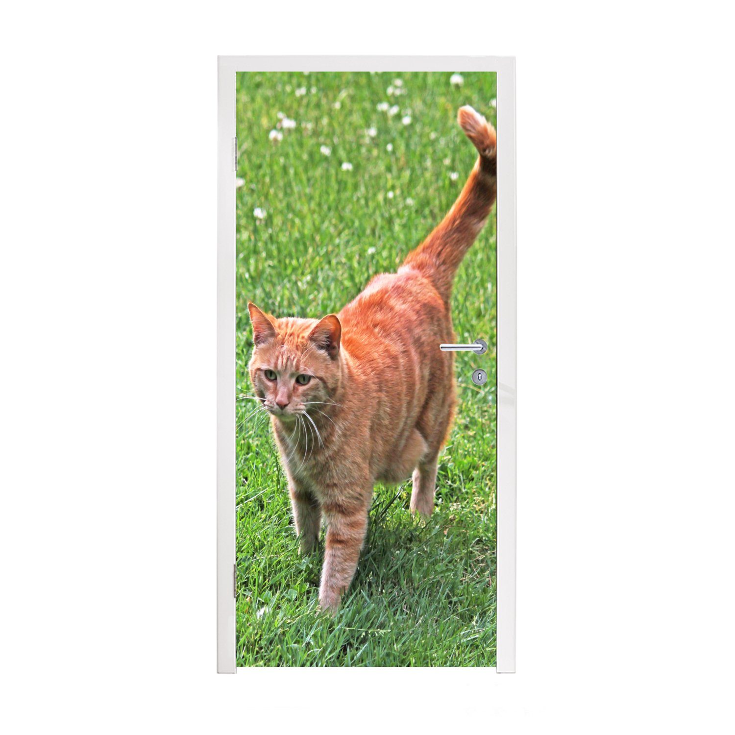 MuchoWow Türtapete Katze - Rot - Katze - Mädchen - Kinder - Jungen - Kind, Matt, bedruckt, (1 St), Fototapete für Tür, Türaufkleber, 75x205 cm
