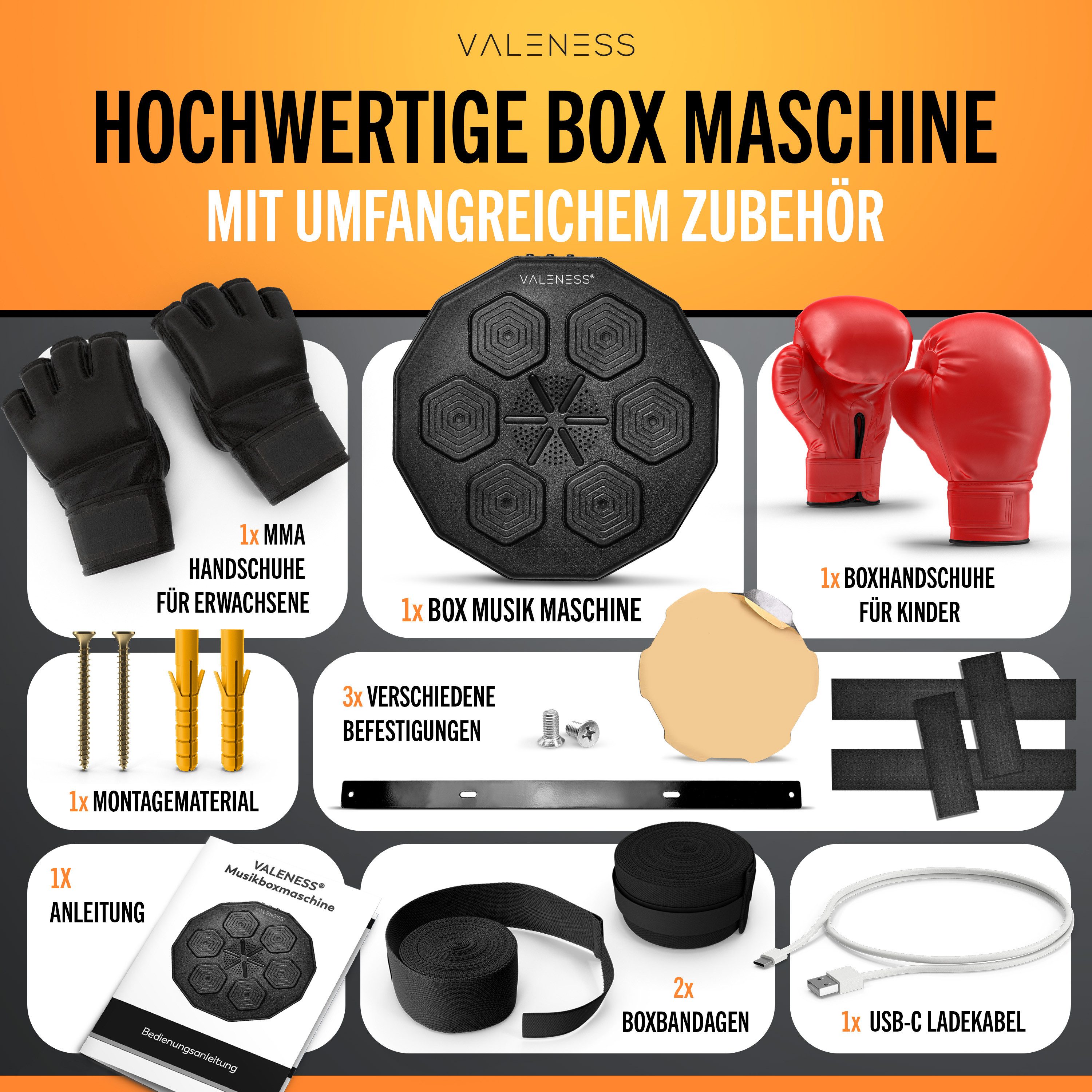 VALENESS Boxdummy MBM2025